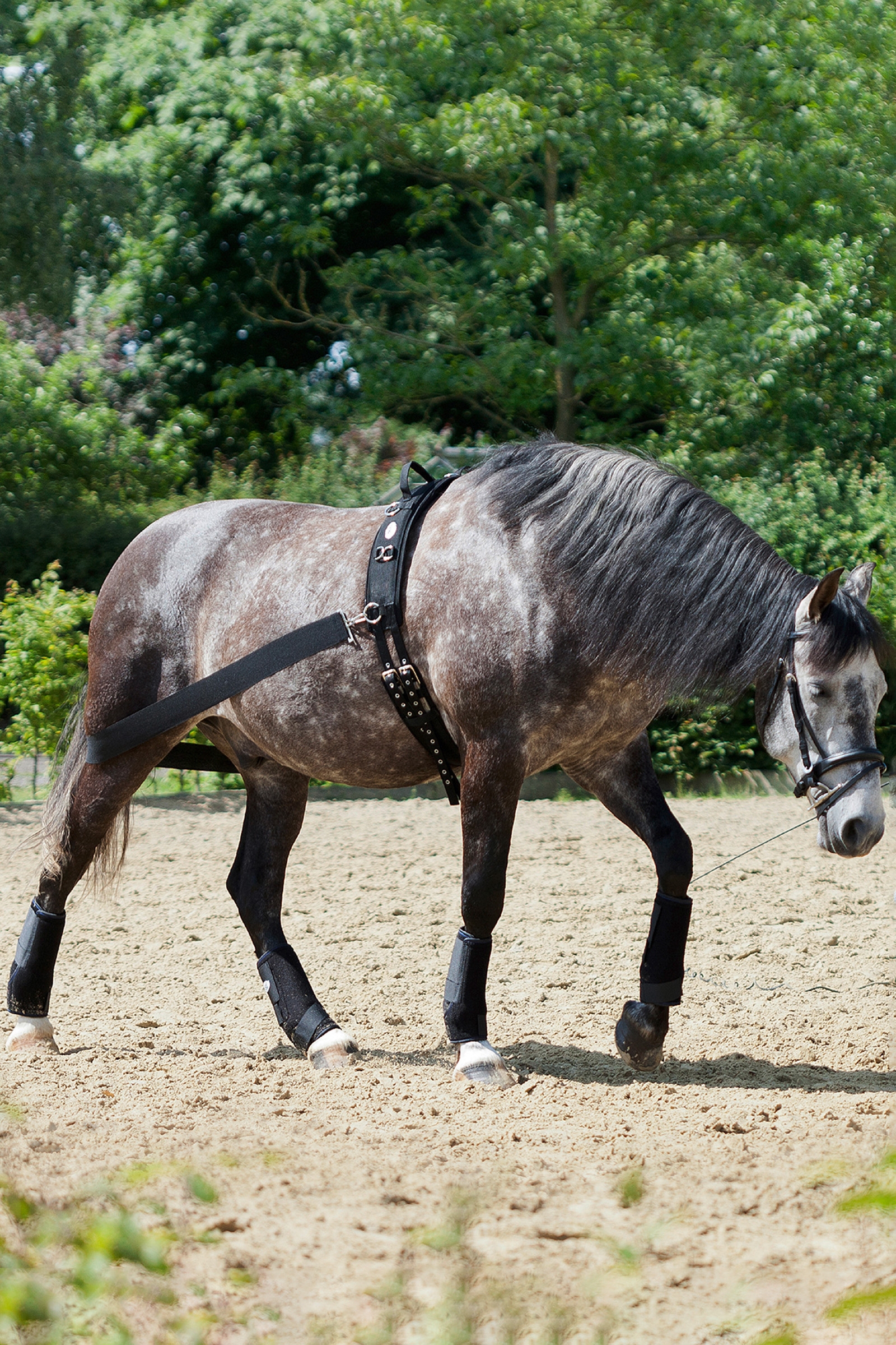 USG CoraLe Sistema di allenamento