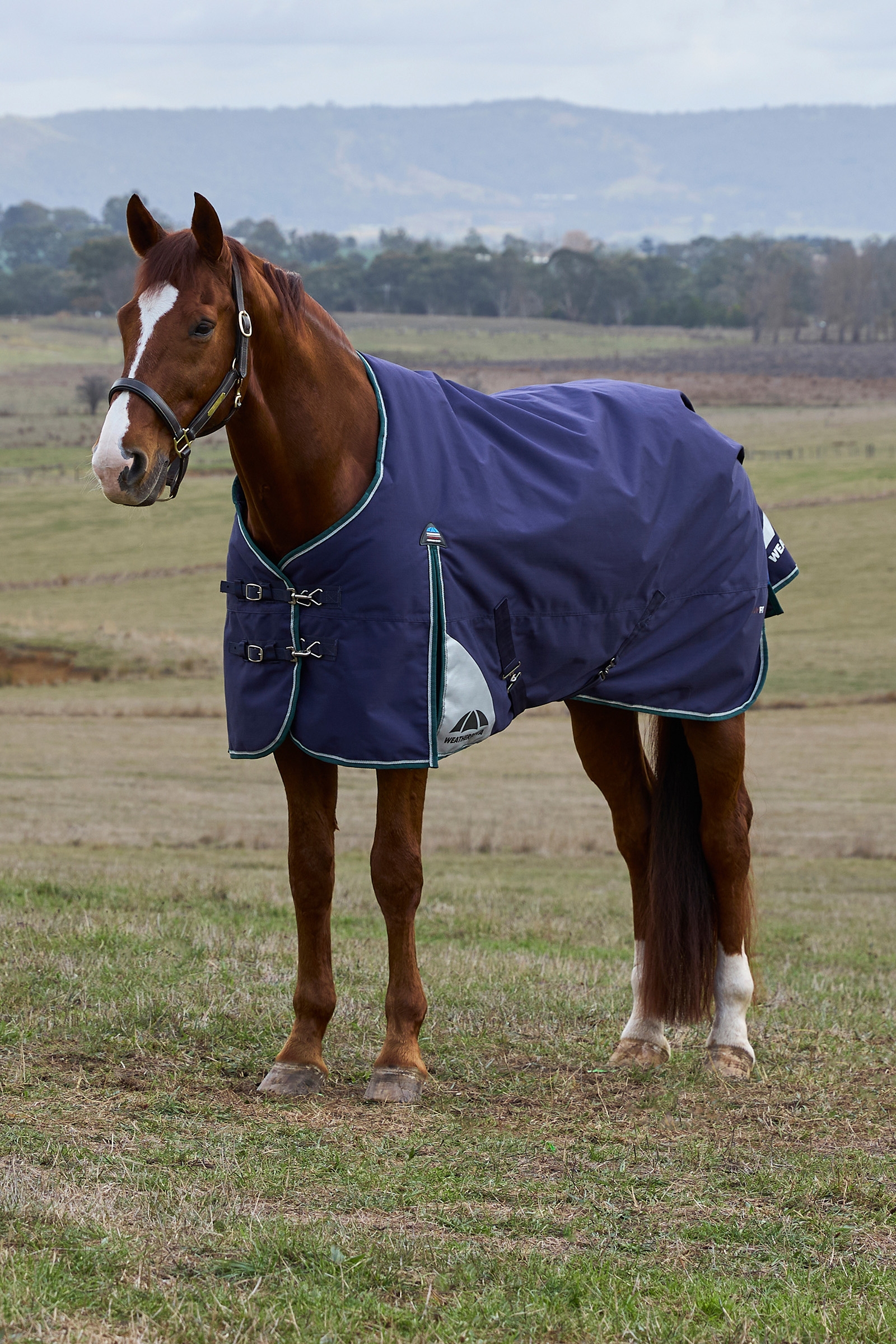 Navy/Forest Green Weatherbeeta ComFiTecPlus Dynamic Coperta da esterno con collo staccabile, 100 g  