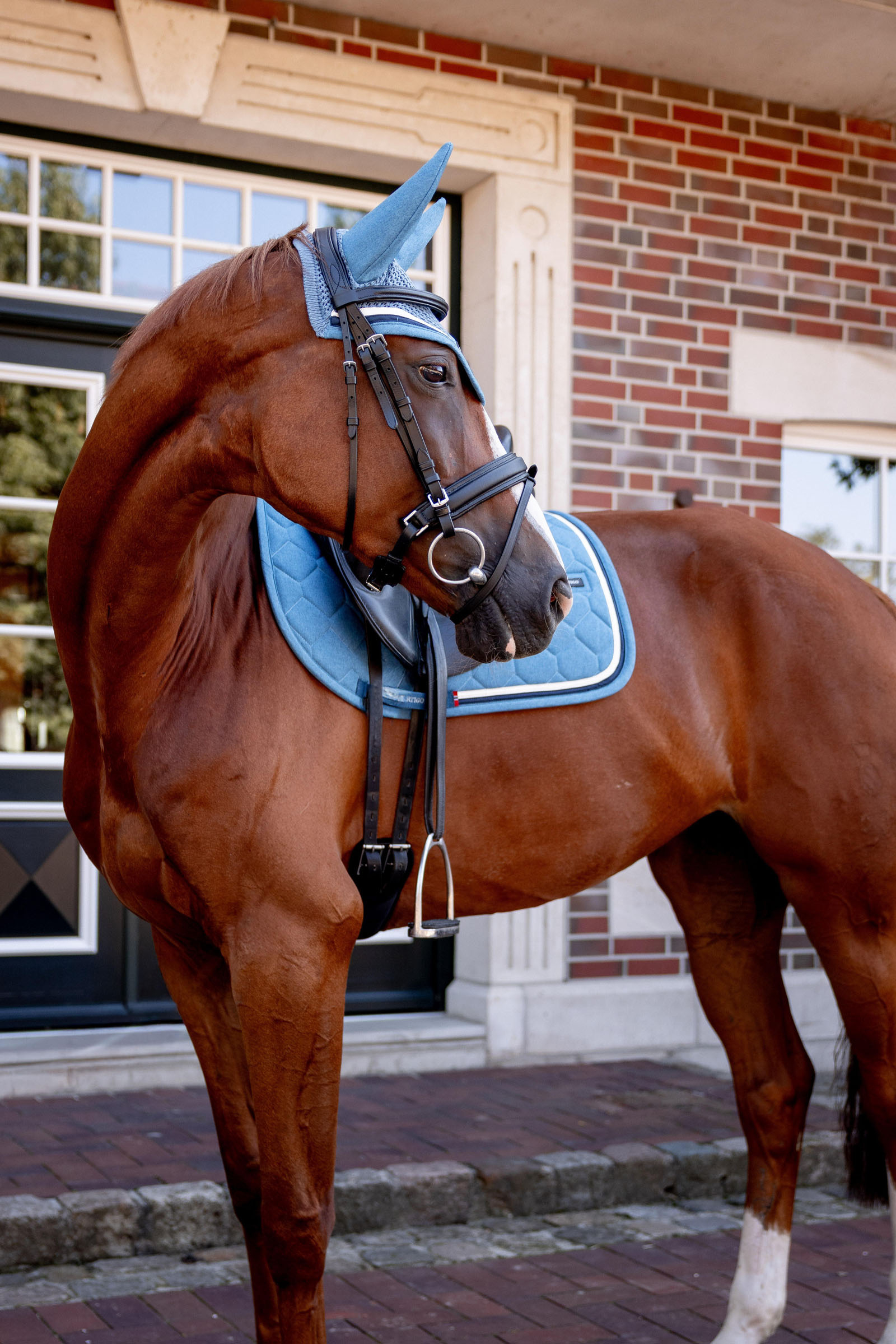 B Vertigo High Altitude sottosella da dressage