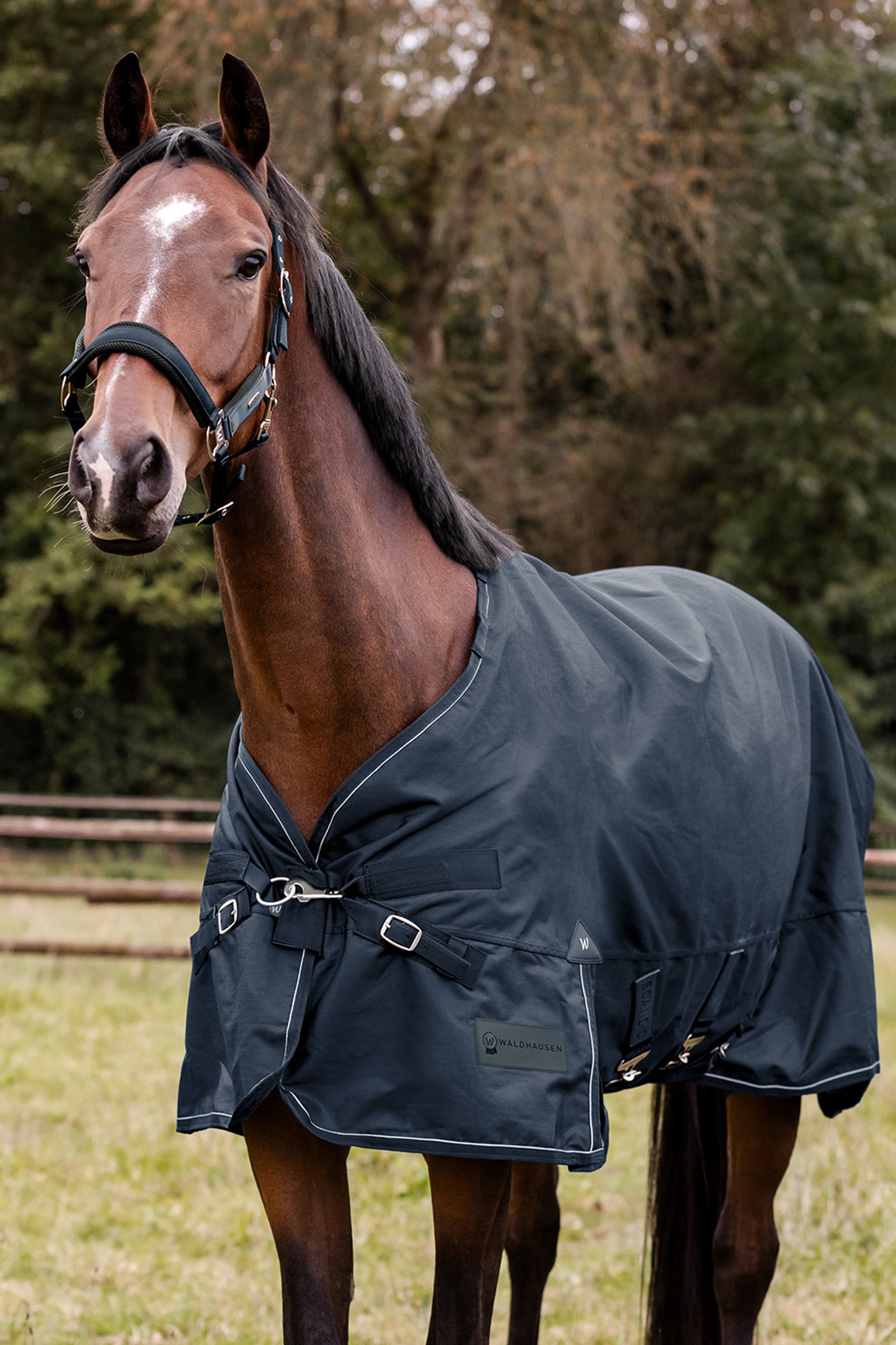 Waldhausen Outdoor Rug Scandic 100g