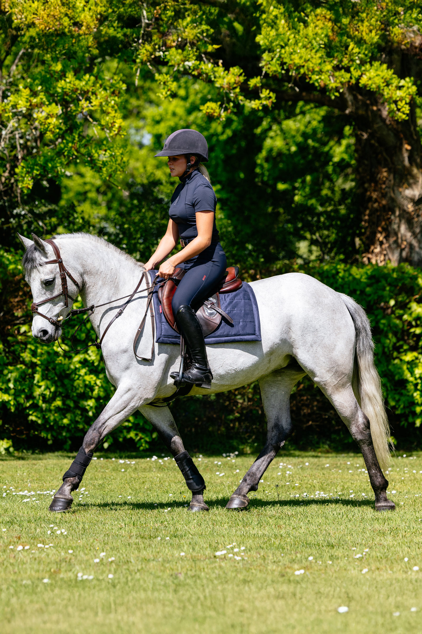 LeMieux Pillow sottosella multiuso imbottito