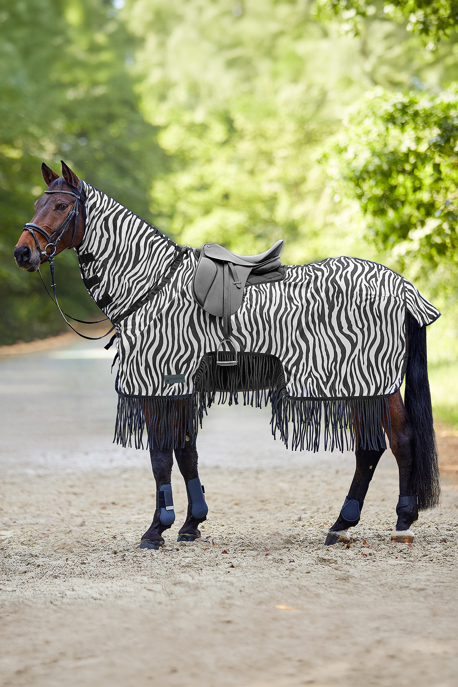 Waldhausen Zebra coperta antimosche con taglio sella e frange, protezione UV