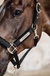 Kentucky Horsewear Cavezza con velluto