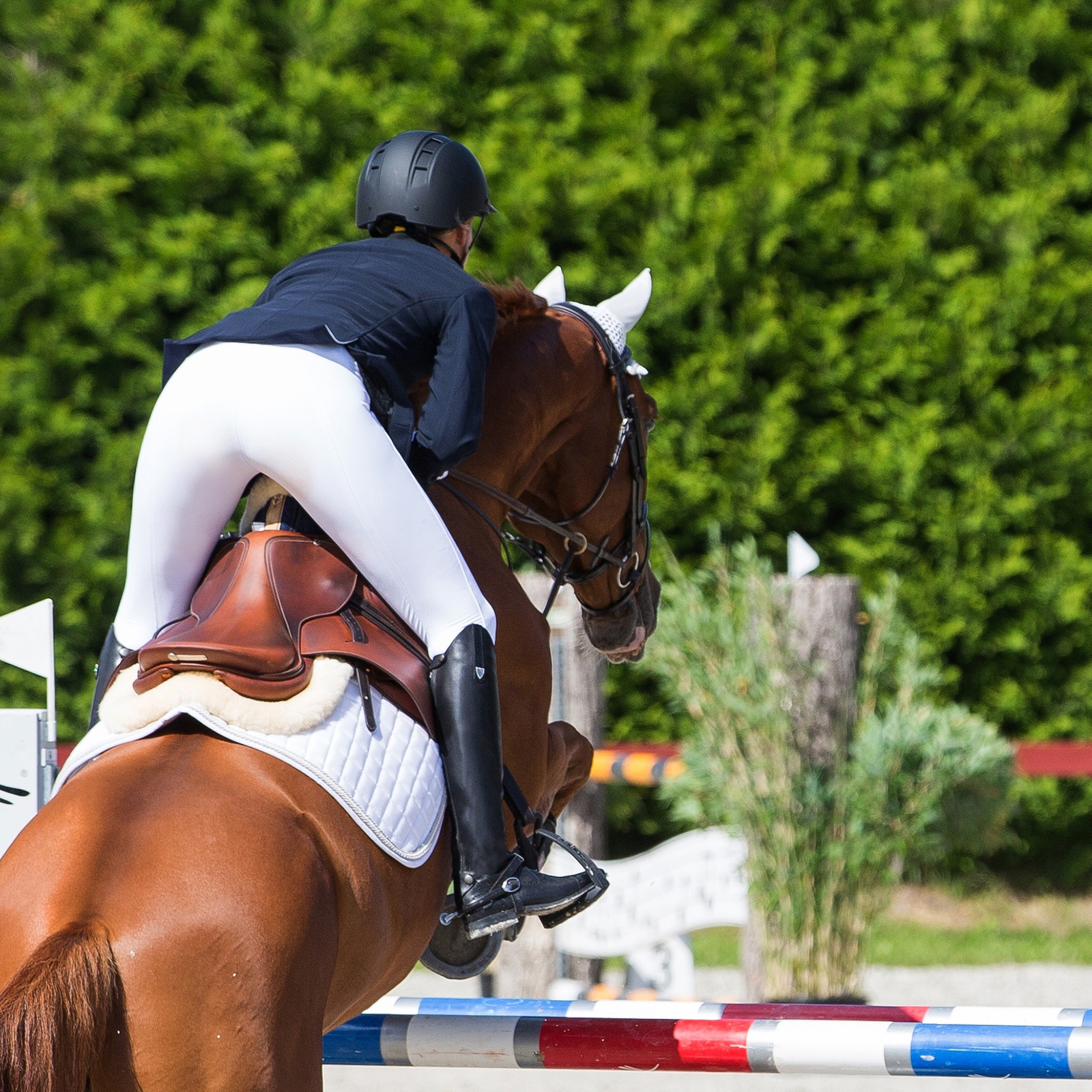 Horze Winslow Stivali alti in vera pelle