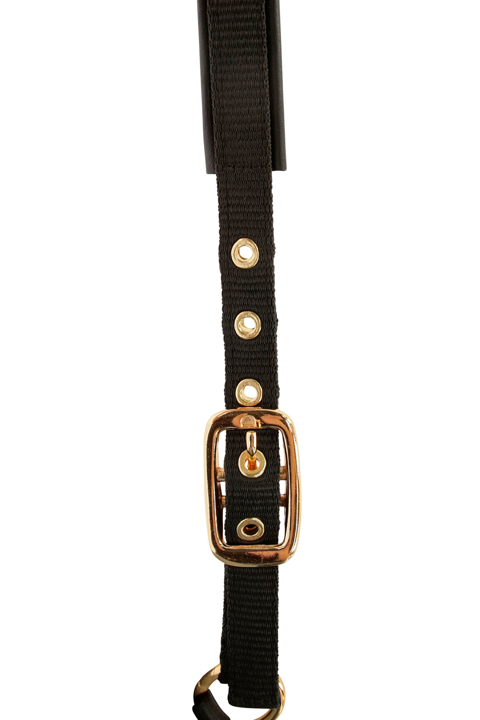 Covalliero TopLine Cavezza per puledri