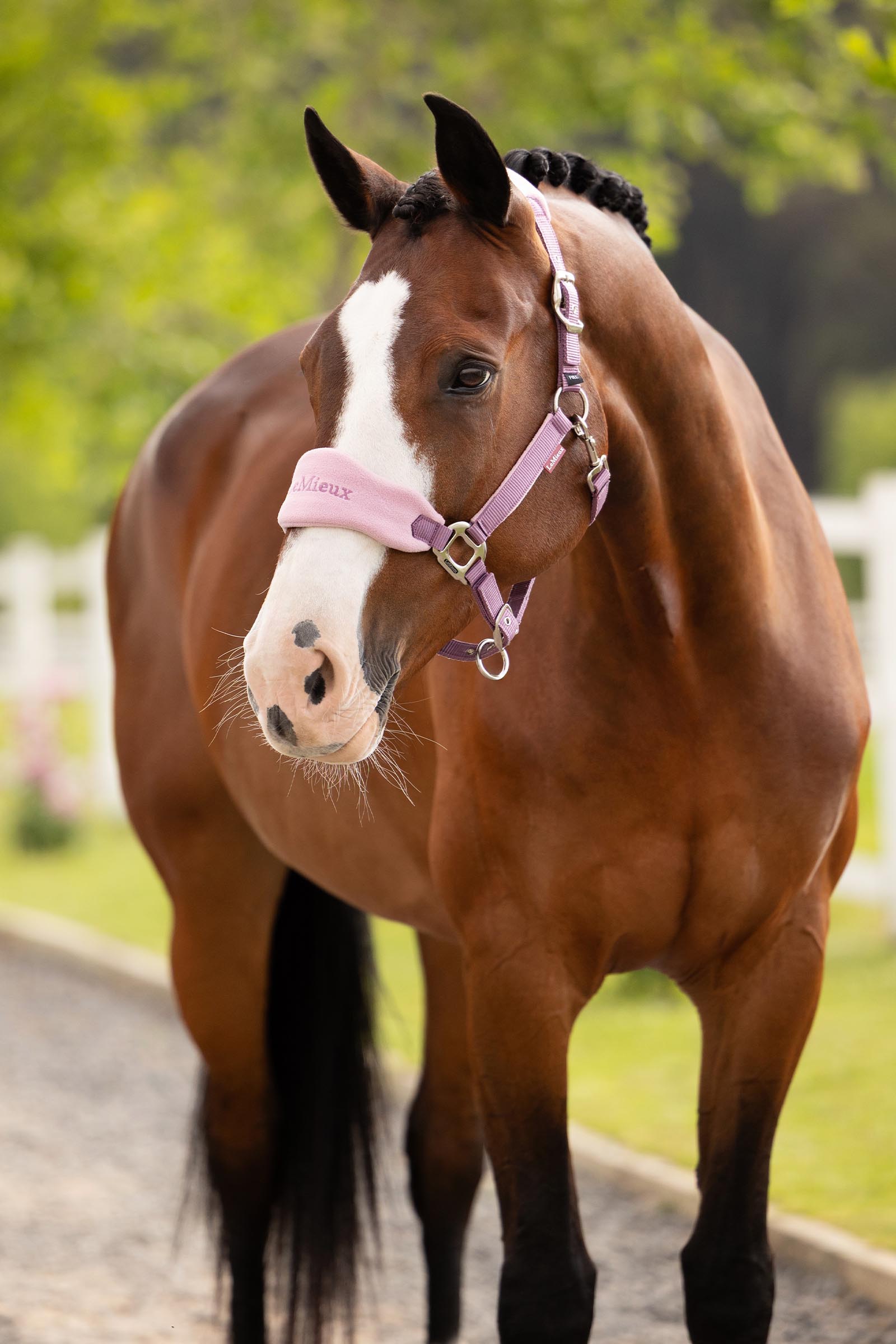 LeMieux Vogue set capezza e lunghina