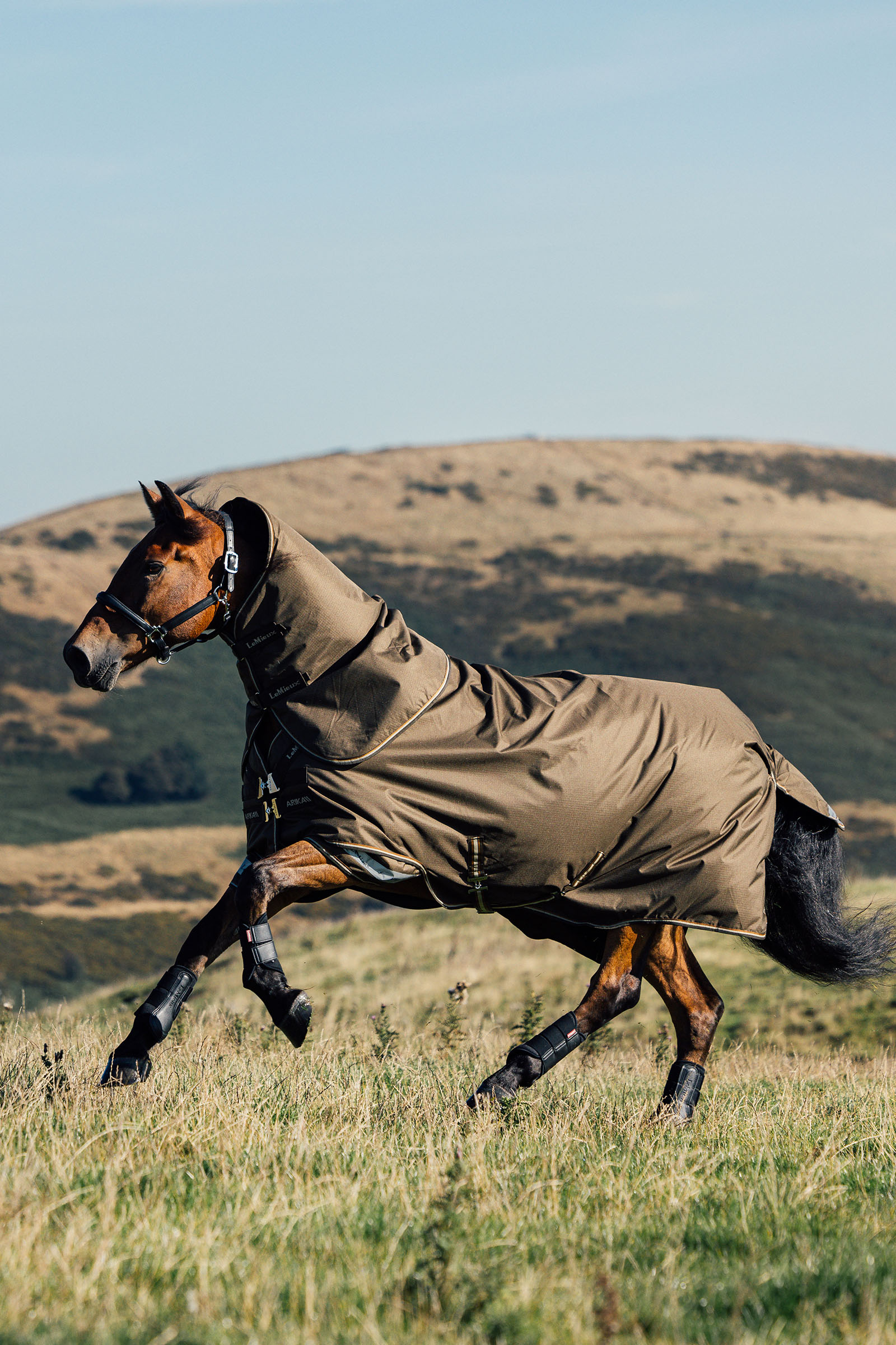 LeMieux Arika coperta Ripstop da paddock 50g