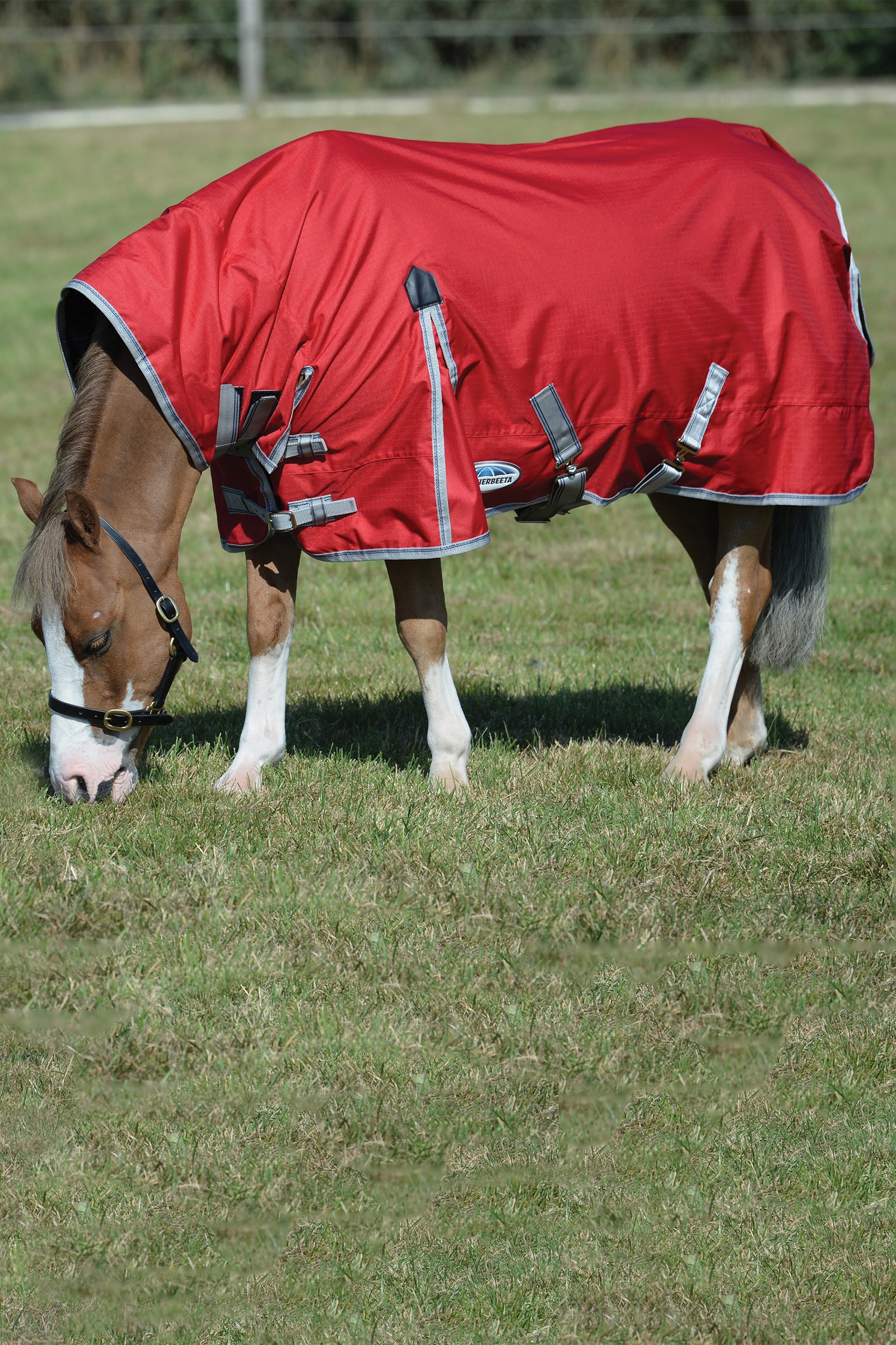 Weatherbeeta Comfitec Classic Coperte per cavalli con collo integrato, 50g