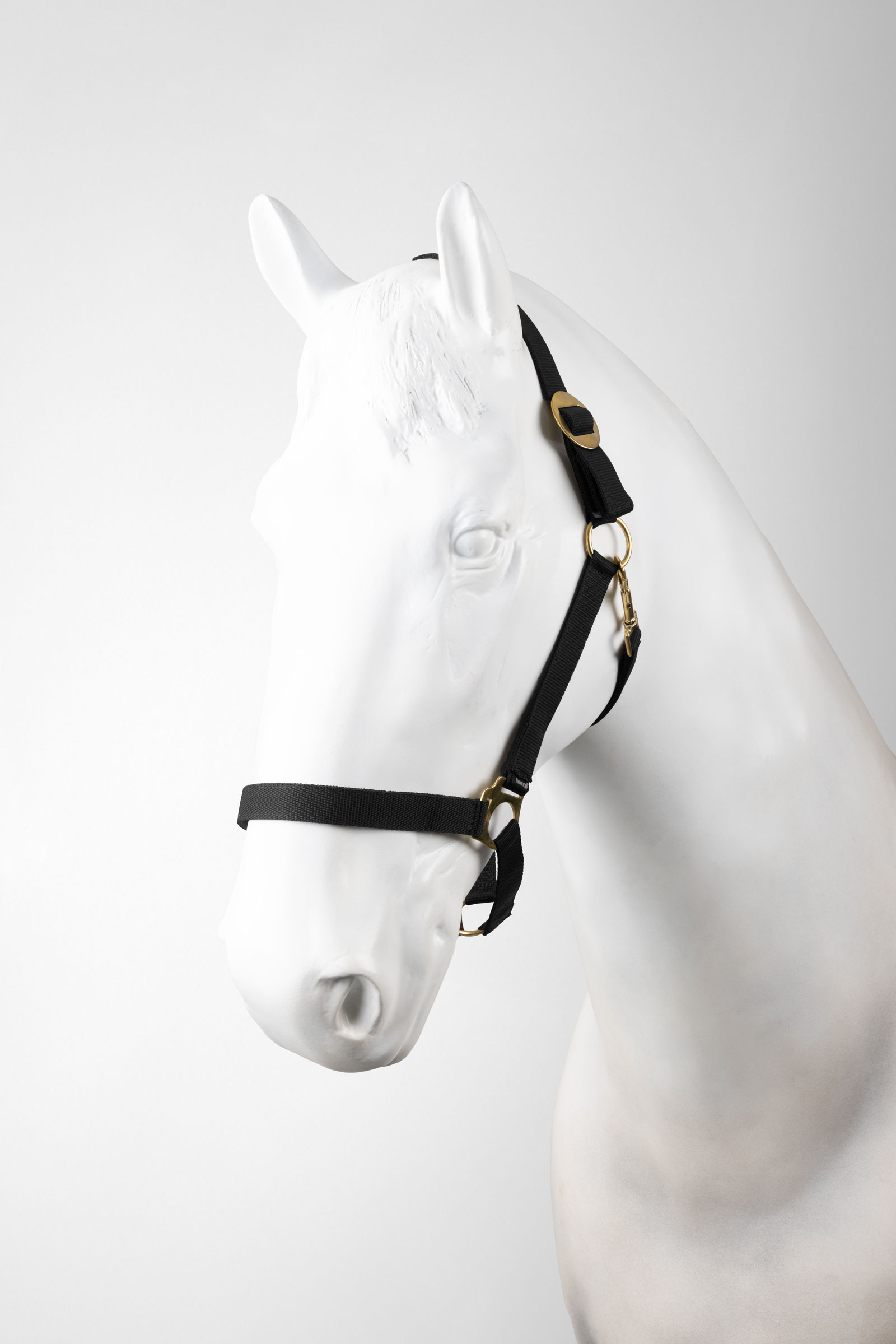 Horze cavezza e longhina set (3 pezzi)