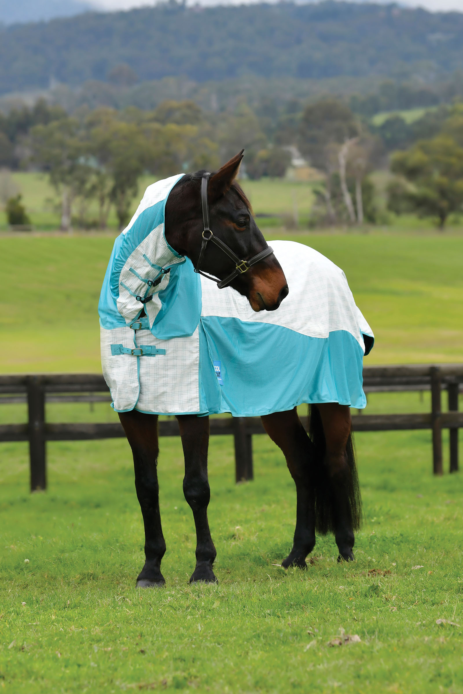 Weatherbeeta Kool Coat Cotone Airstream Ii Detach-A-Neck