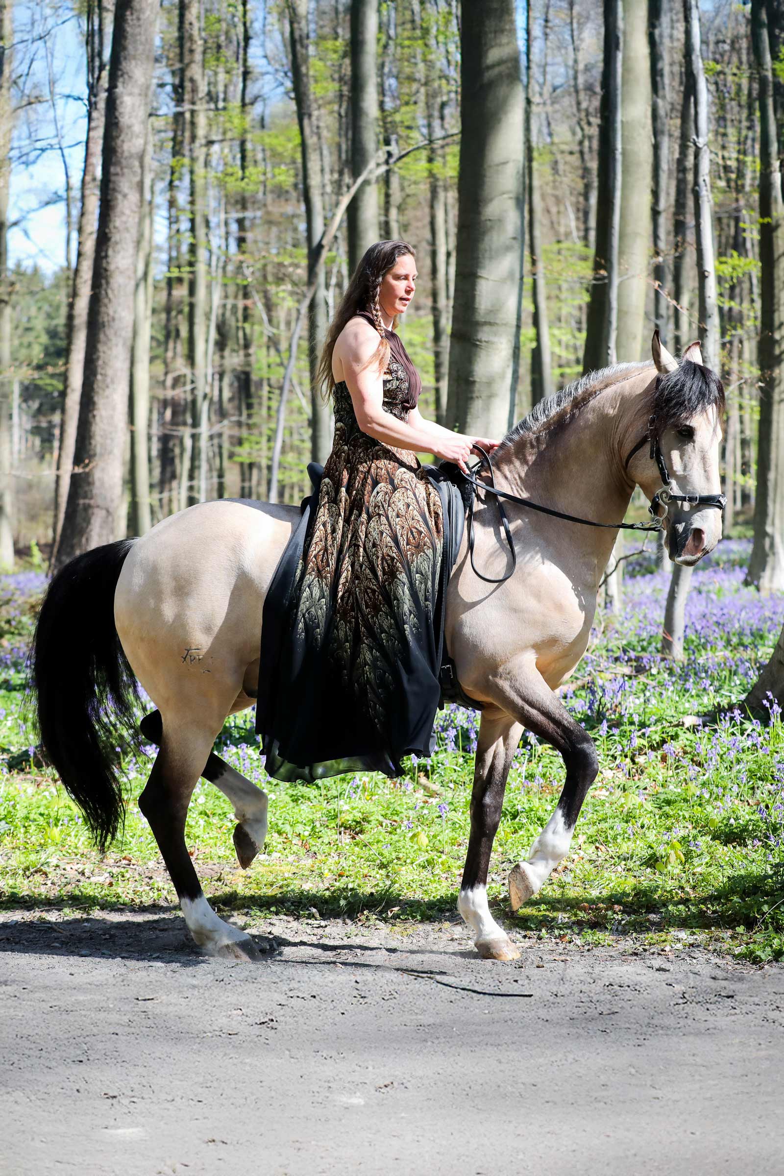 F.R.A. Freedom Riding Articles Imperial briglia Hackamore con redini (Sistema 2)