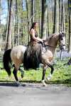 F.R.A. Freedom Riding Articles Imperial briglia Hackamore con redini (Sistema 2)