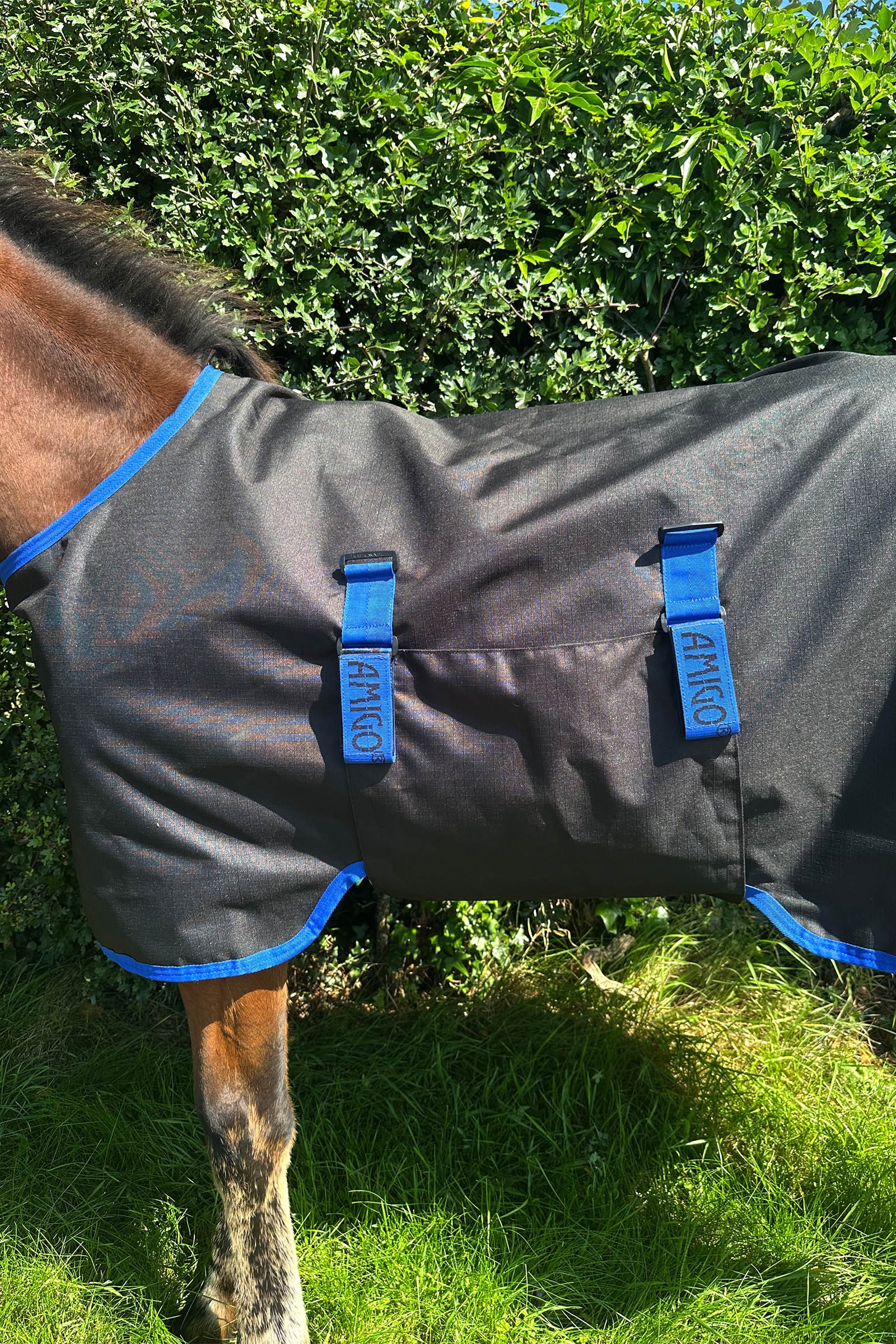 Horseware Amigo Ripstop 900D coperta da paddock per puledri 50g