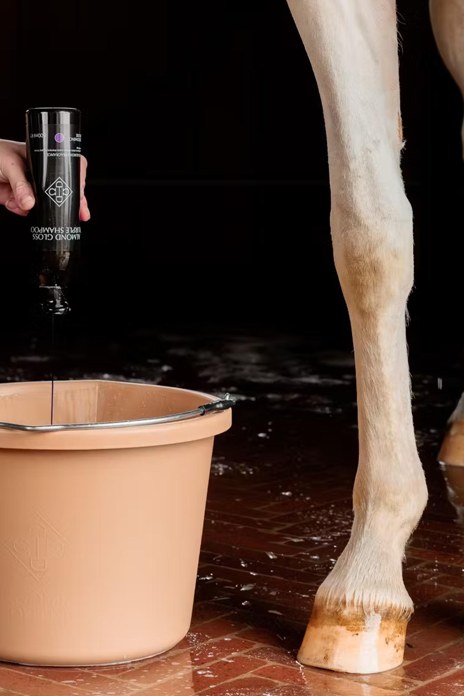 Grooming Deluxe Shampoo viola lucente mandorla, 500 ml