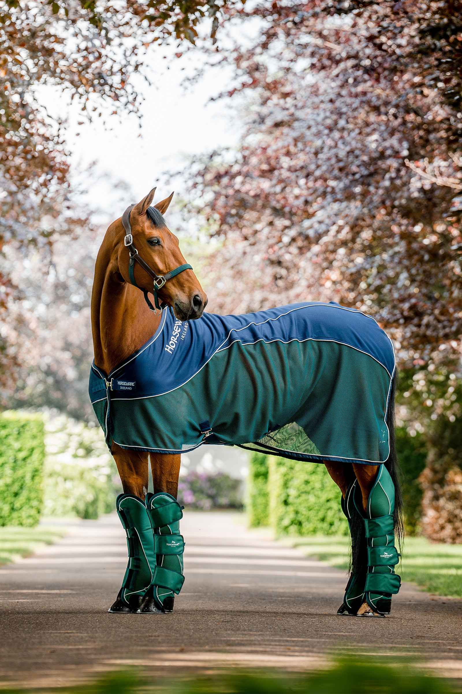 Horseware Signature Gambali da Trasporto