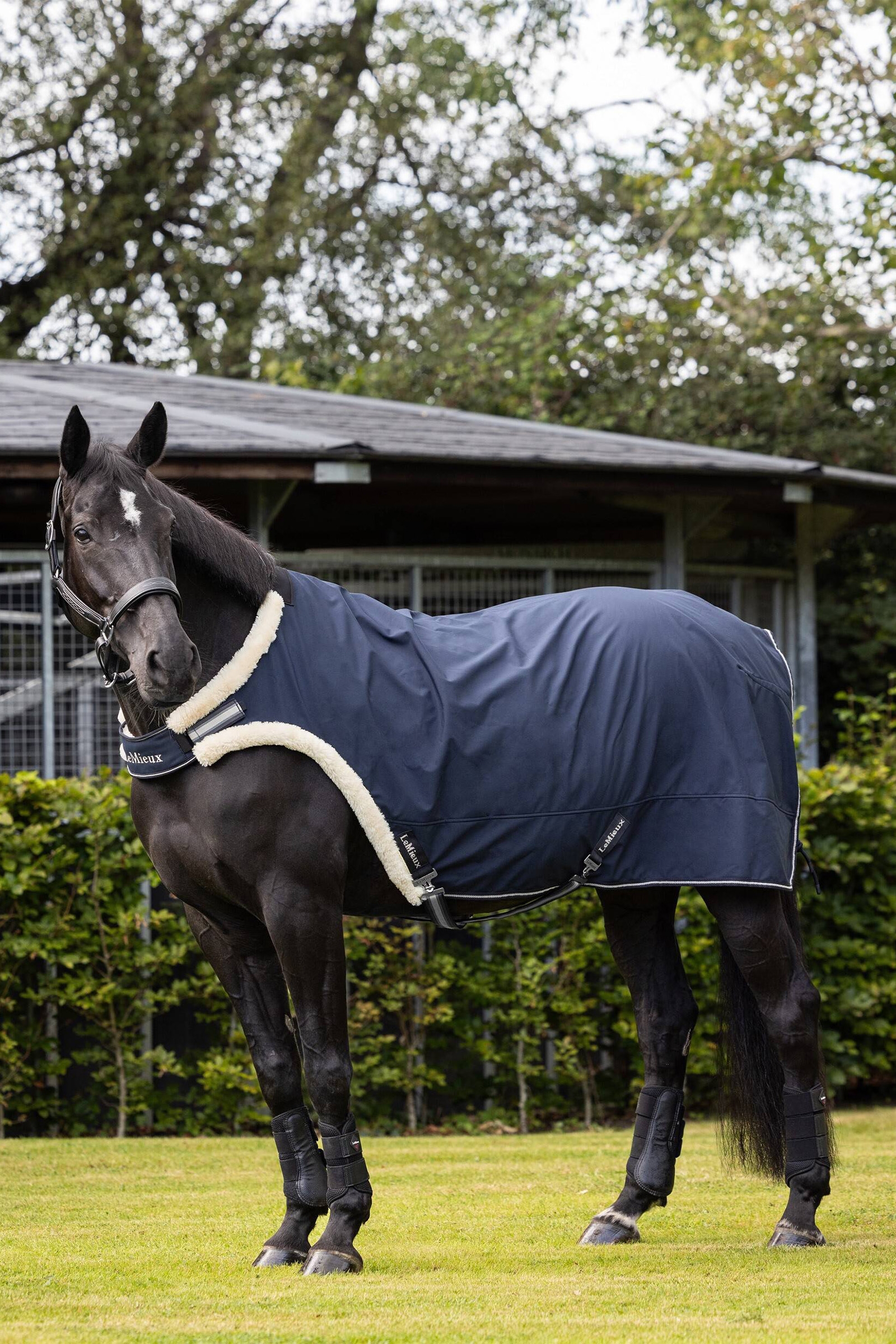 Coperta LeMieux per il guidaggio
