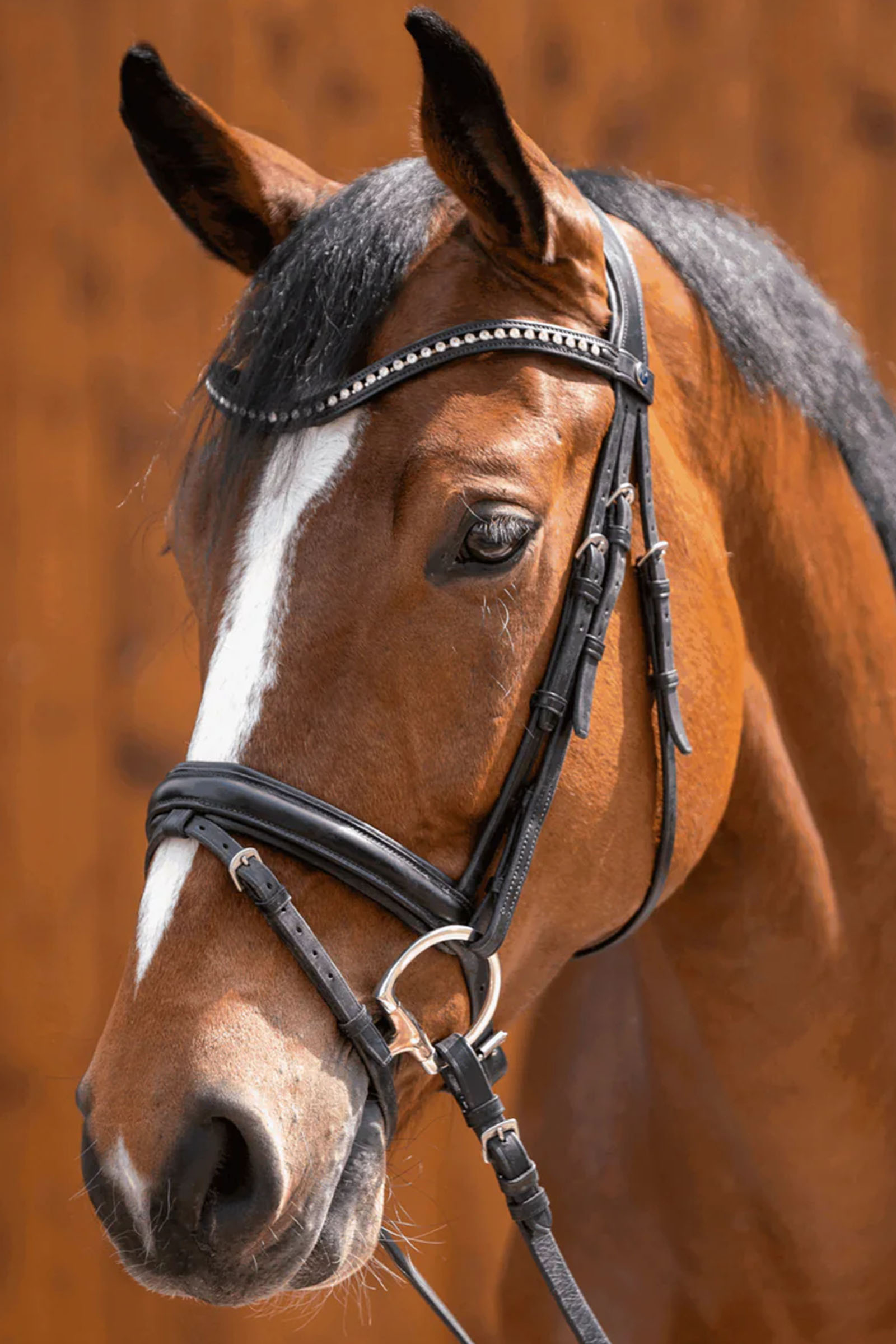 Sprenger Novocontact Olivehead Bit, Double Jointed