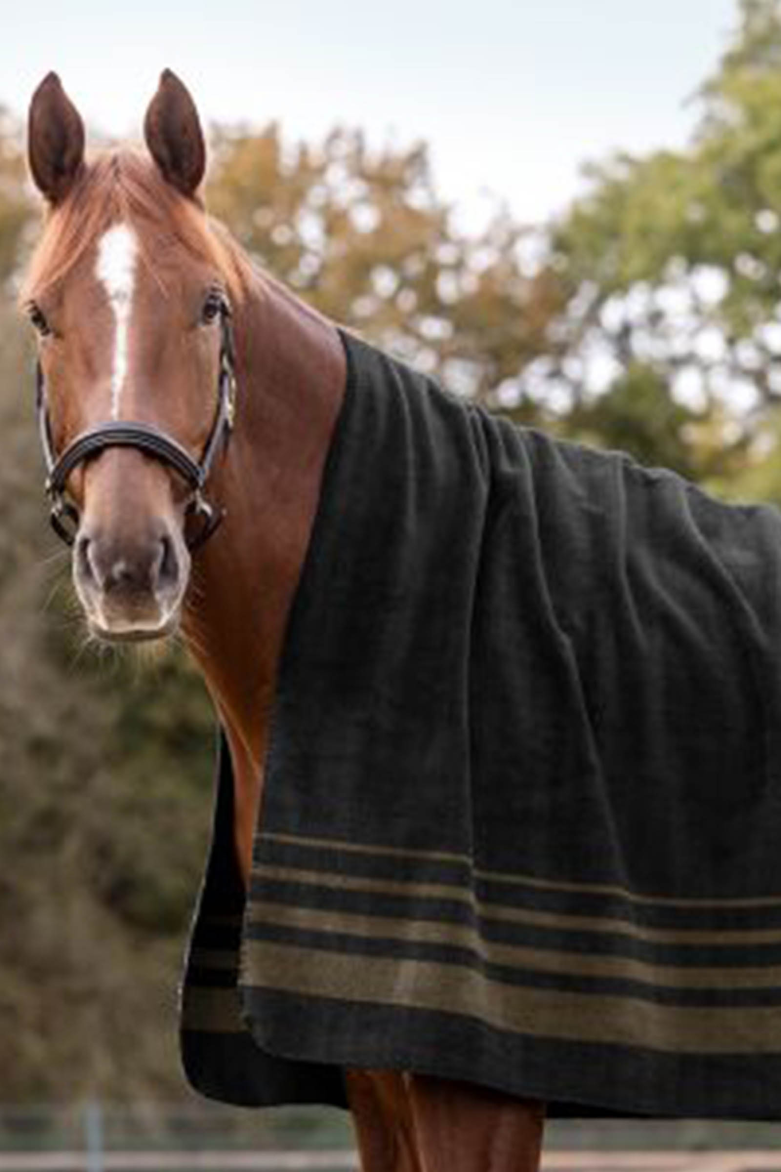 Waldhausen S&ouml;lden coperta in pile