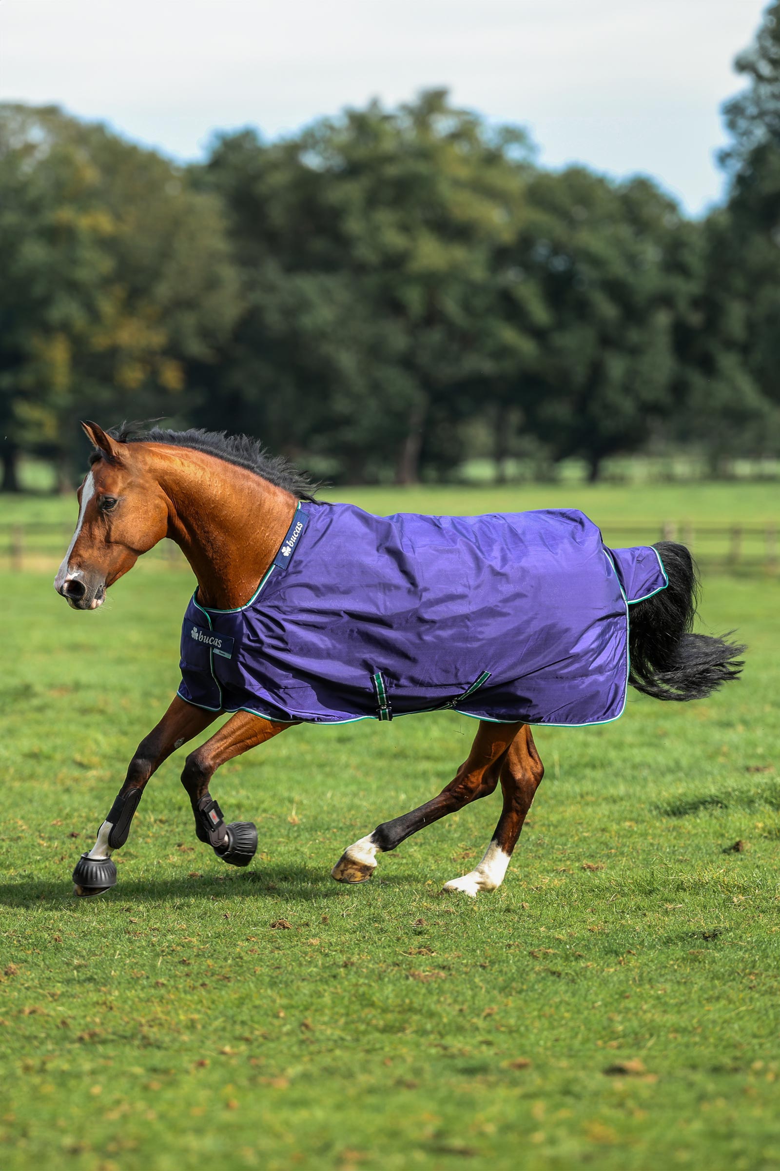Bucas Smartex Rain coperta da turnout, 0g