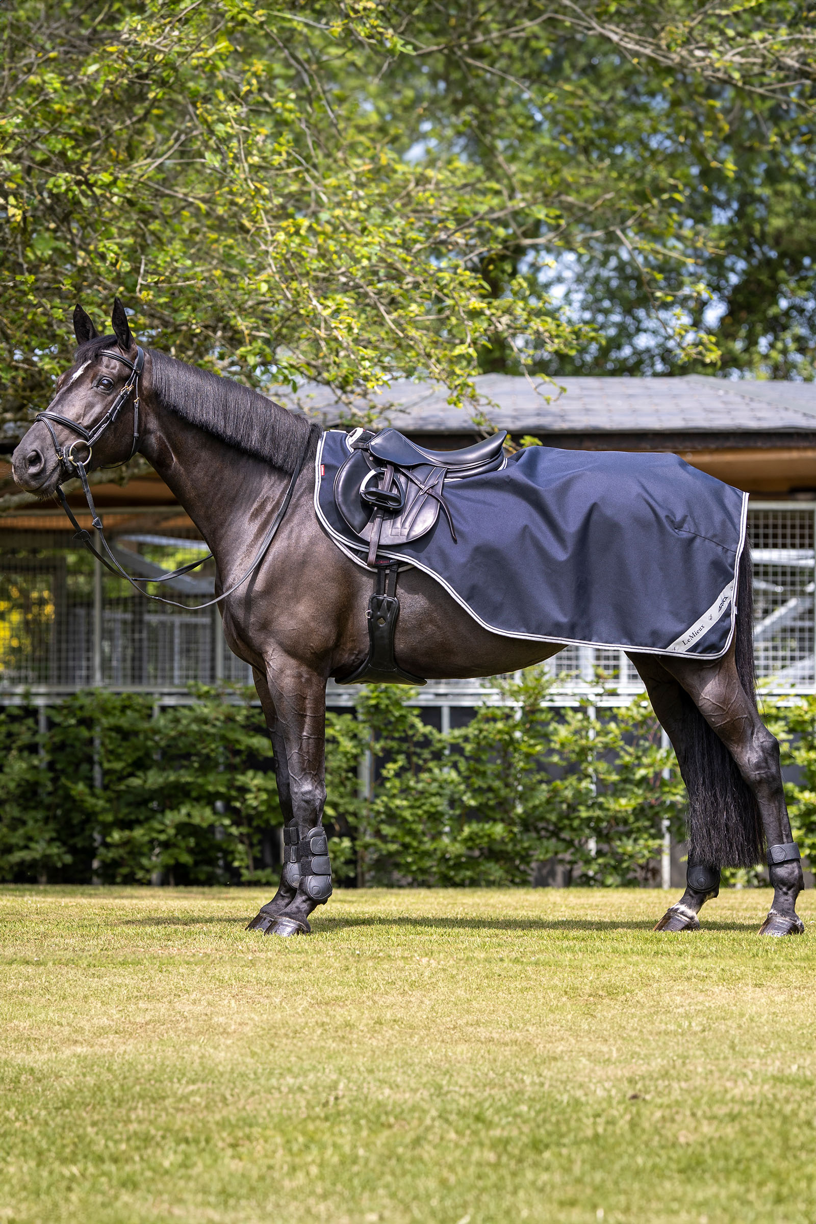 LeMieux Arika coperta da esercizio