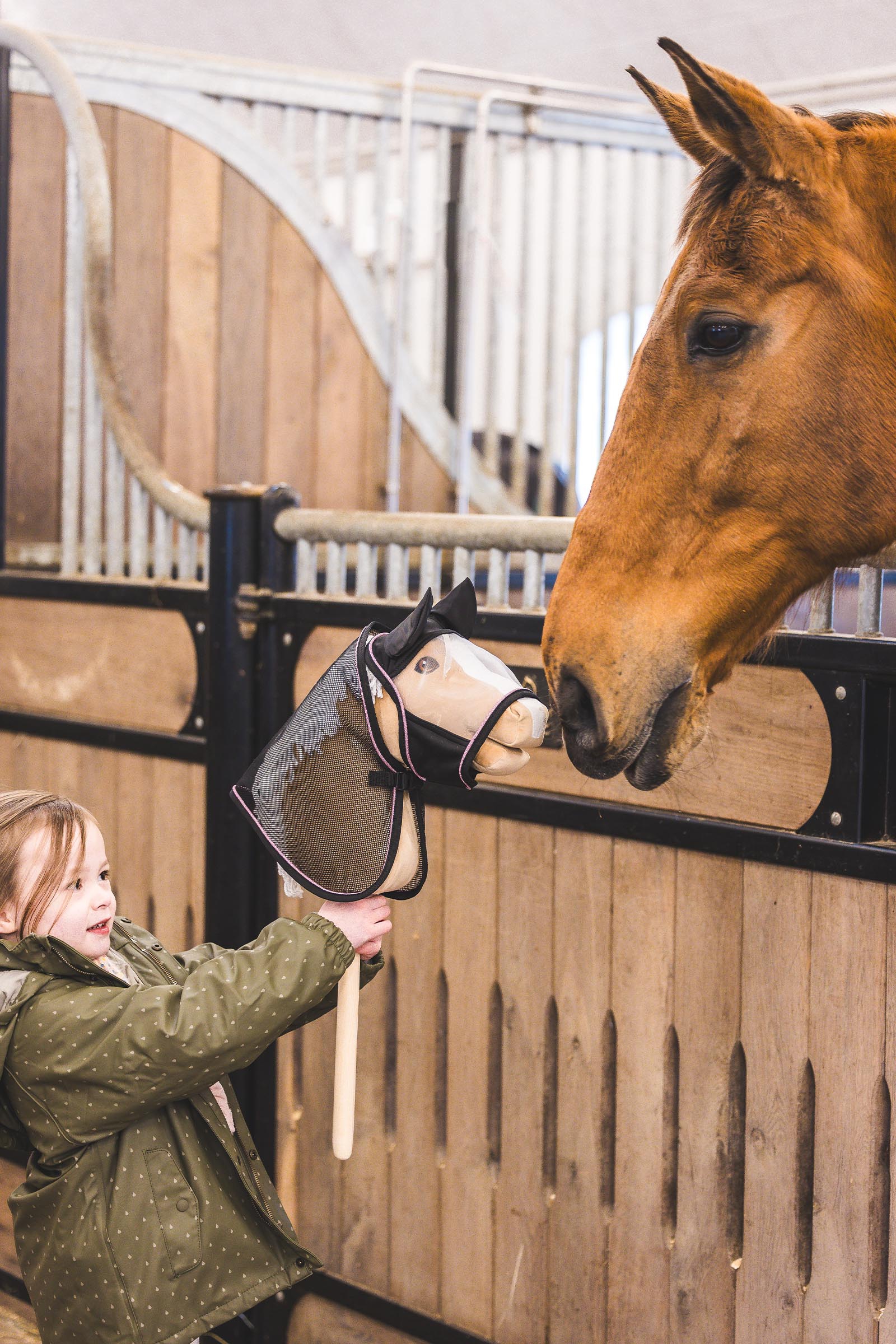 My Hobby Horse coperta anti-insetti