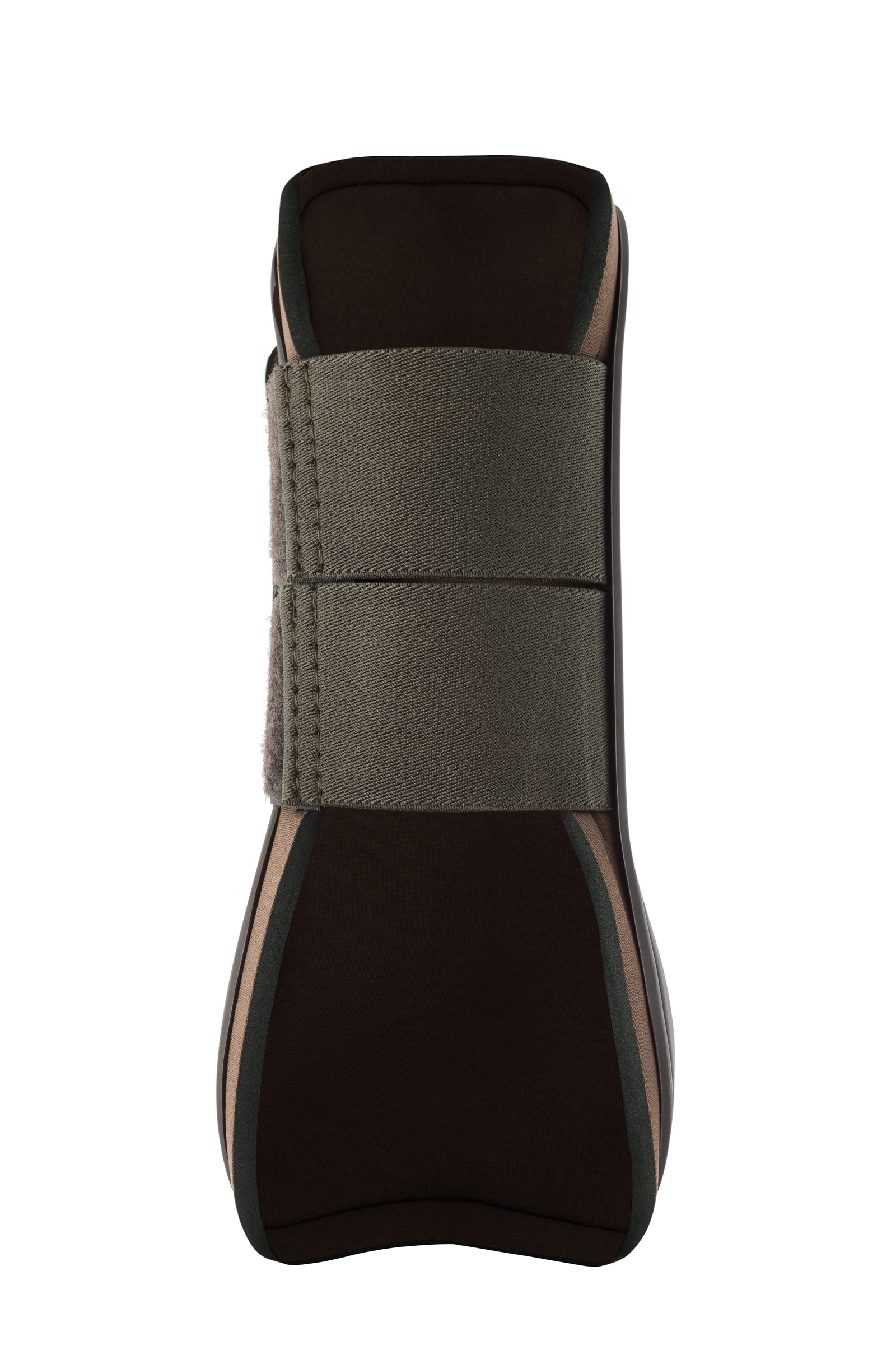 Horse paratendini Chicago