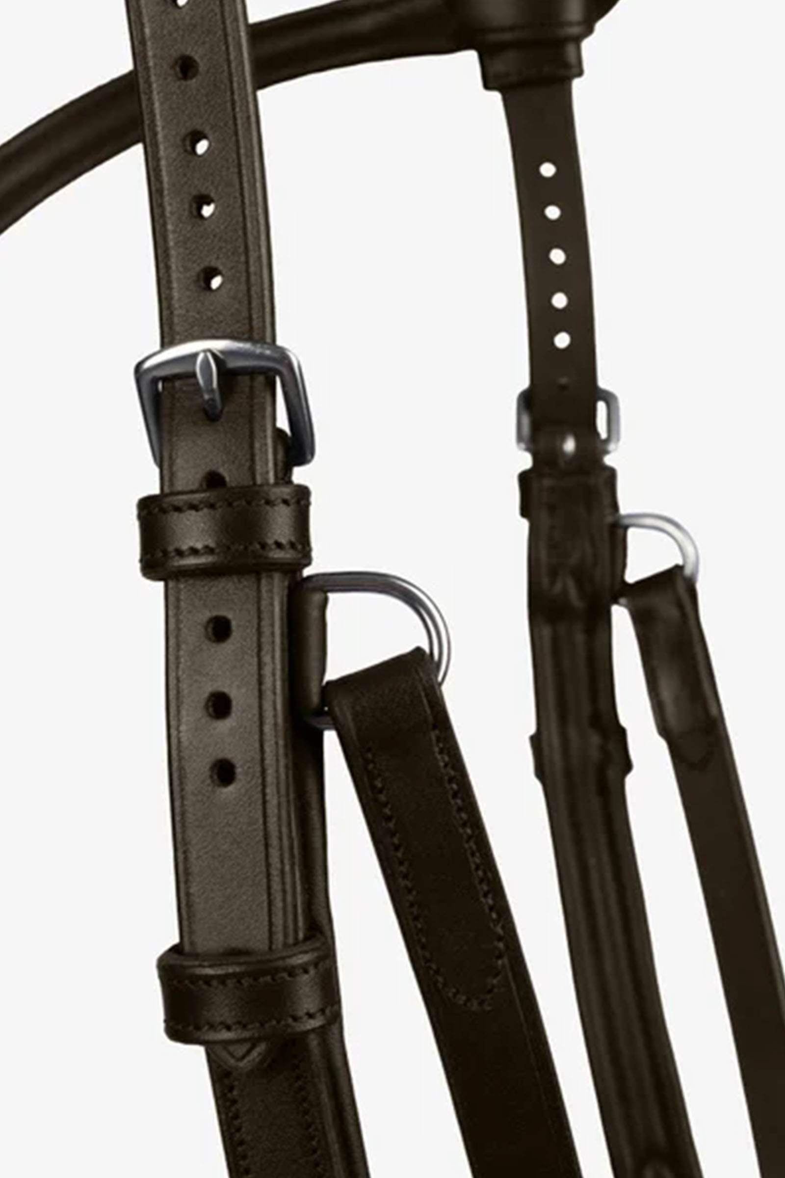 PS of Sweden Briglia King Edward