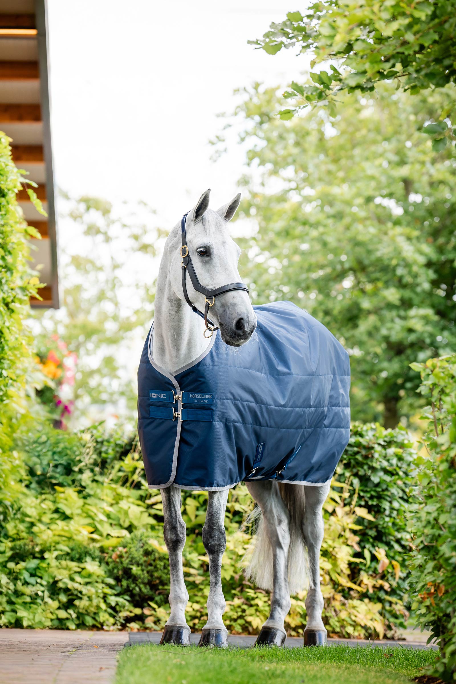 Horseware Ionic Therapy Coperta da stalla, 50g