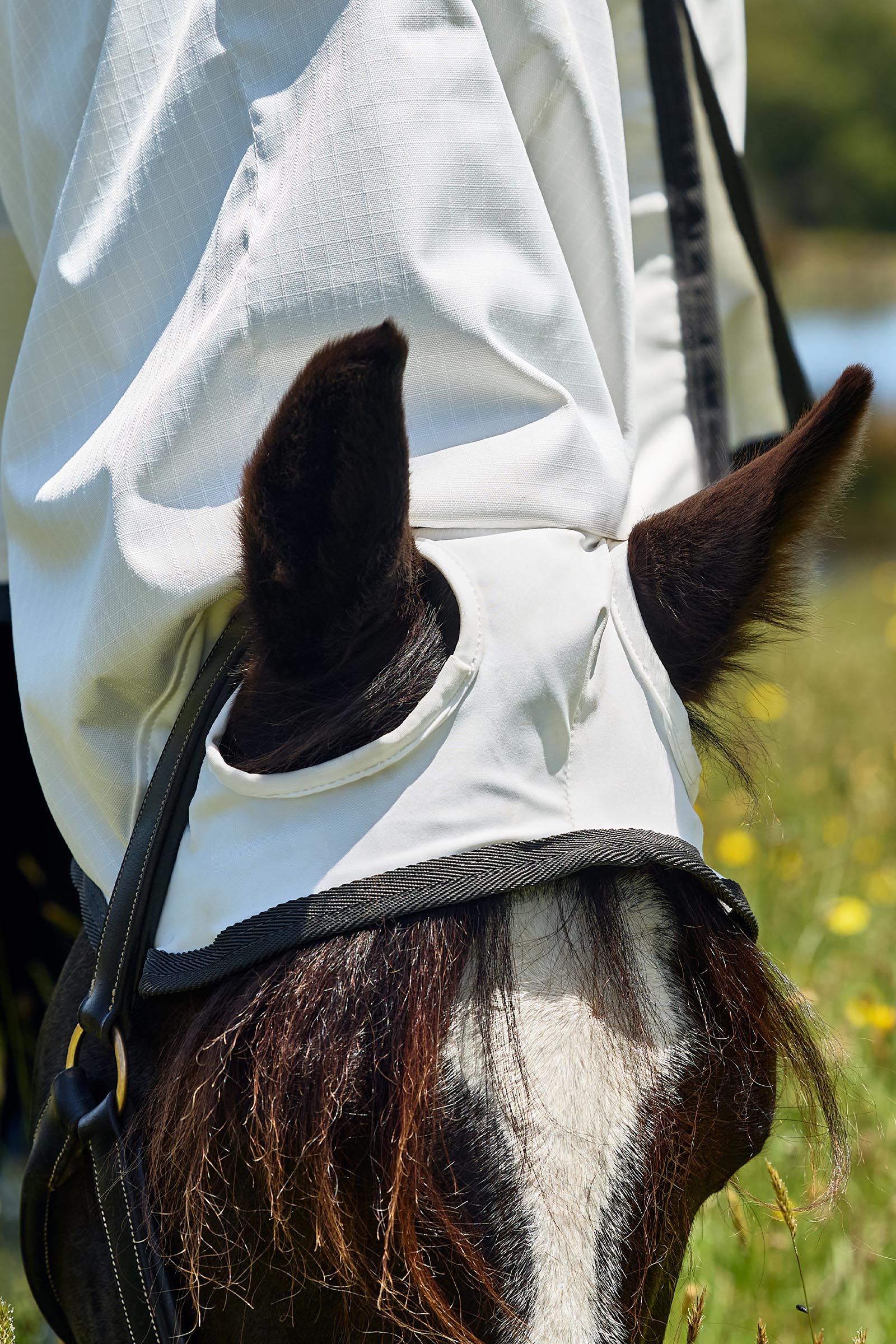 Weatherbeeta ComFiTec Sweet Itch Shield Coperta antimosche combo con collo fisso, 0 g  