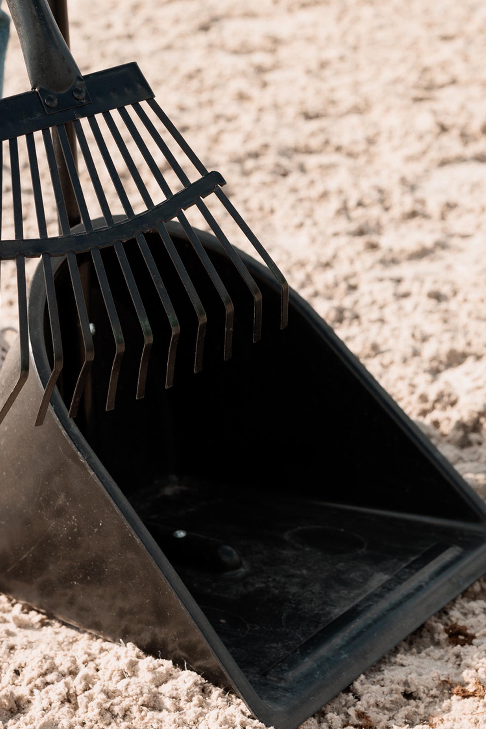 Grooming Deluxe pala letame e rastrello  