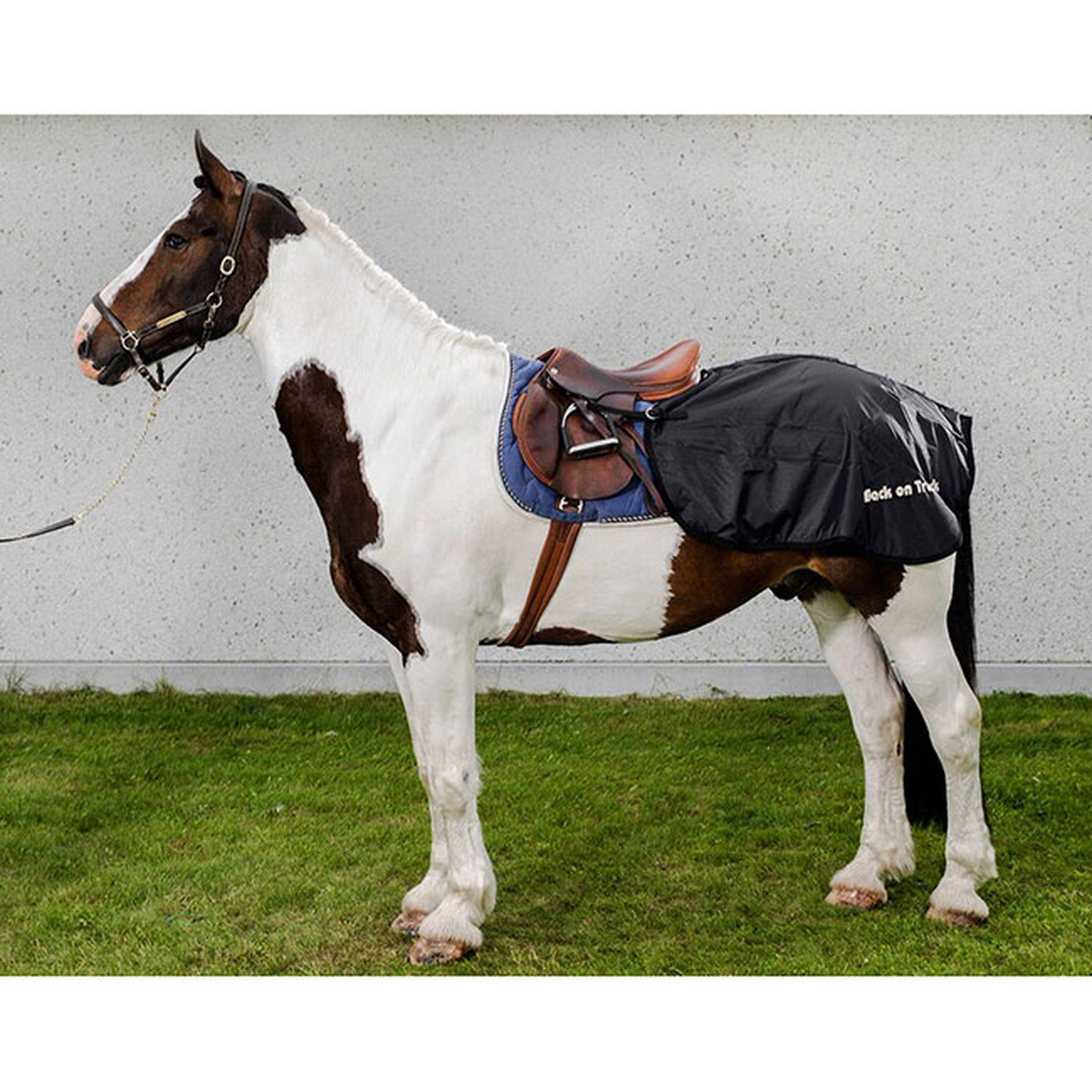 Back on Track Coperta da addestramento