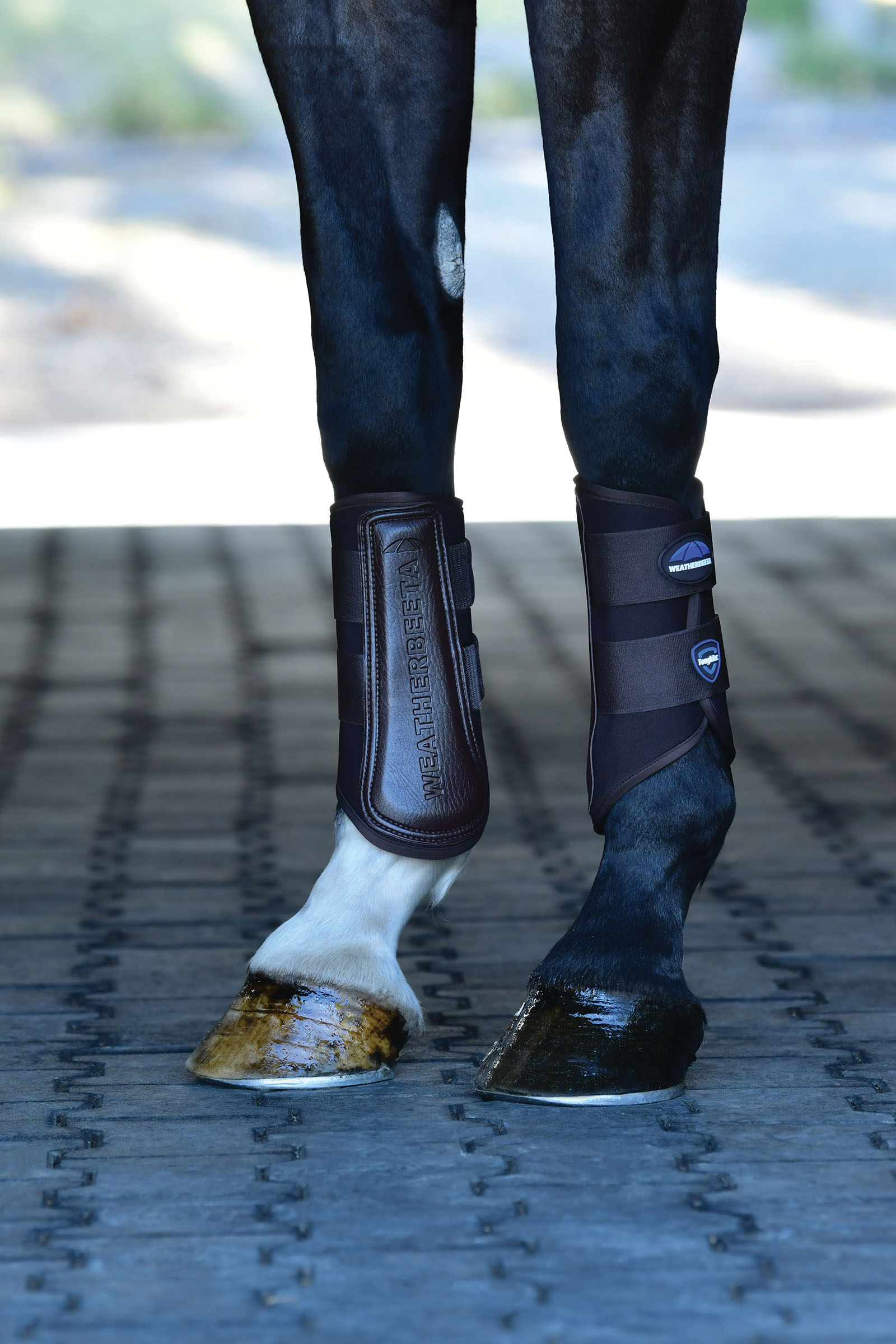 Weatherbeeta Tough-Tec Prime Stinchiere dressage