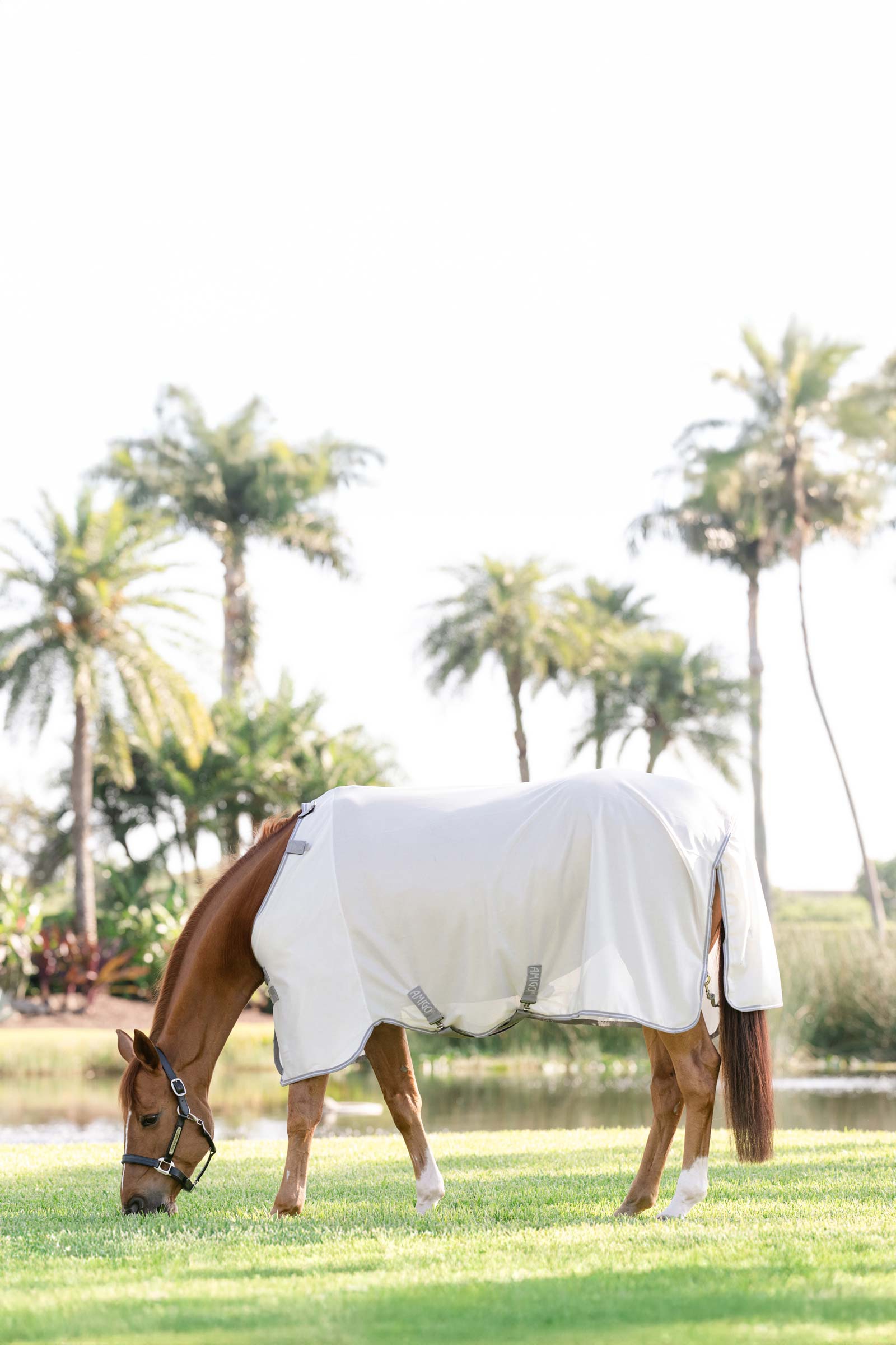 Horseware Amigo coperta antimosche con protezione UV