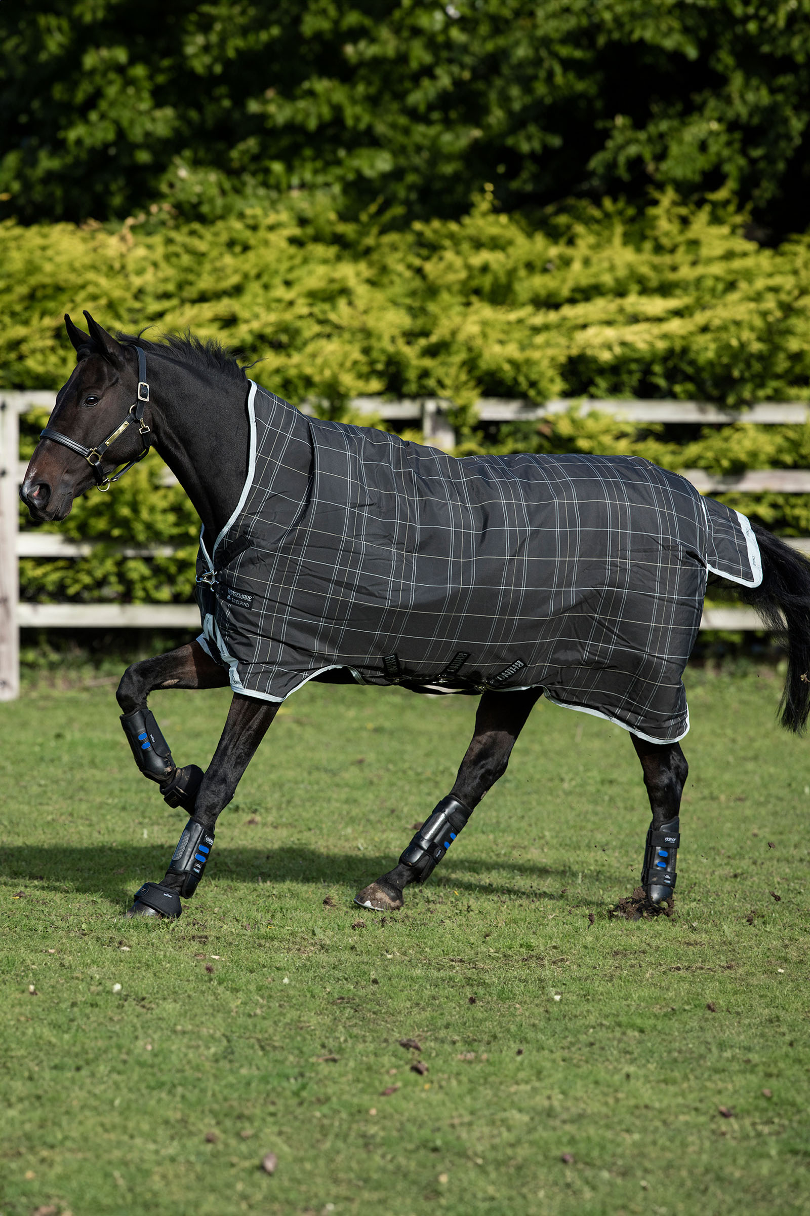 Black/Grey/White Check & Gray Horseware Rhino Wug coperta da paddock, 100 g