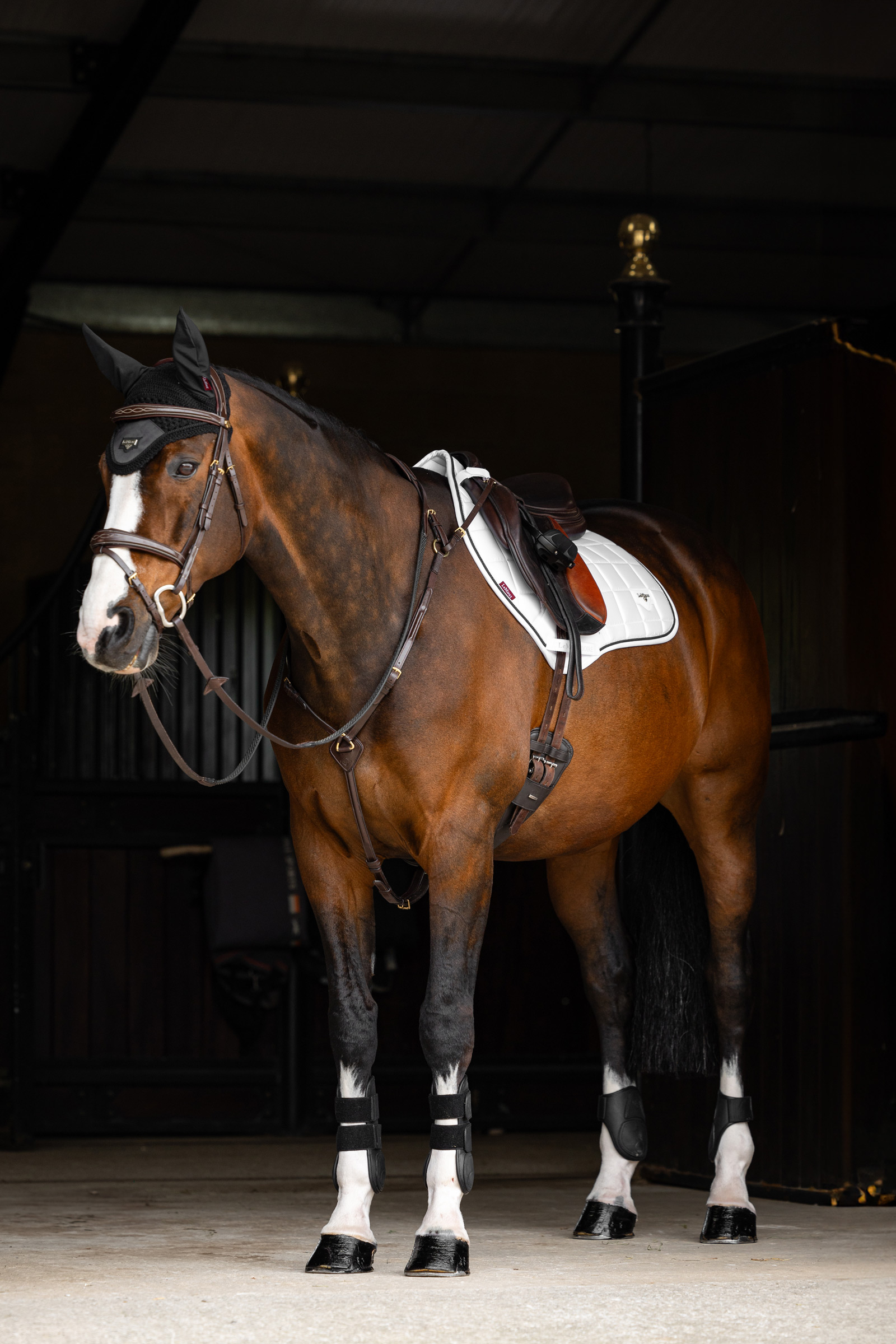 LeMieux Loire Square CC Sottosella da salto