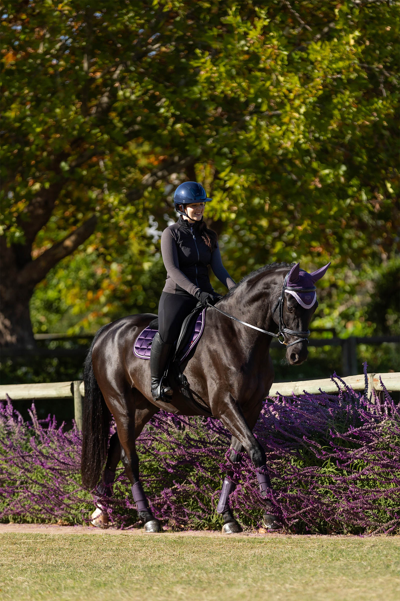 LeMieux Merino+ Loire sottosella classico Close Contact