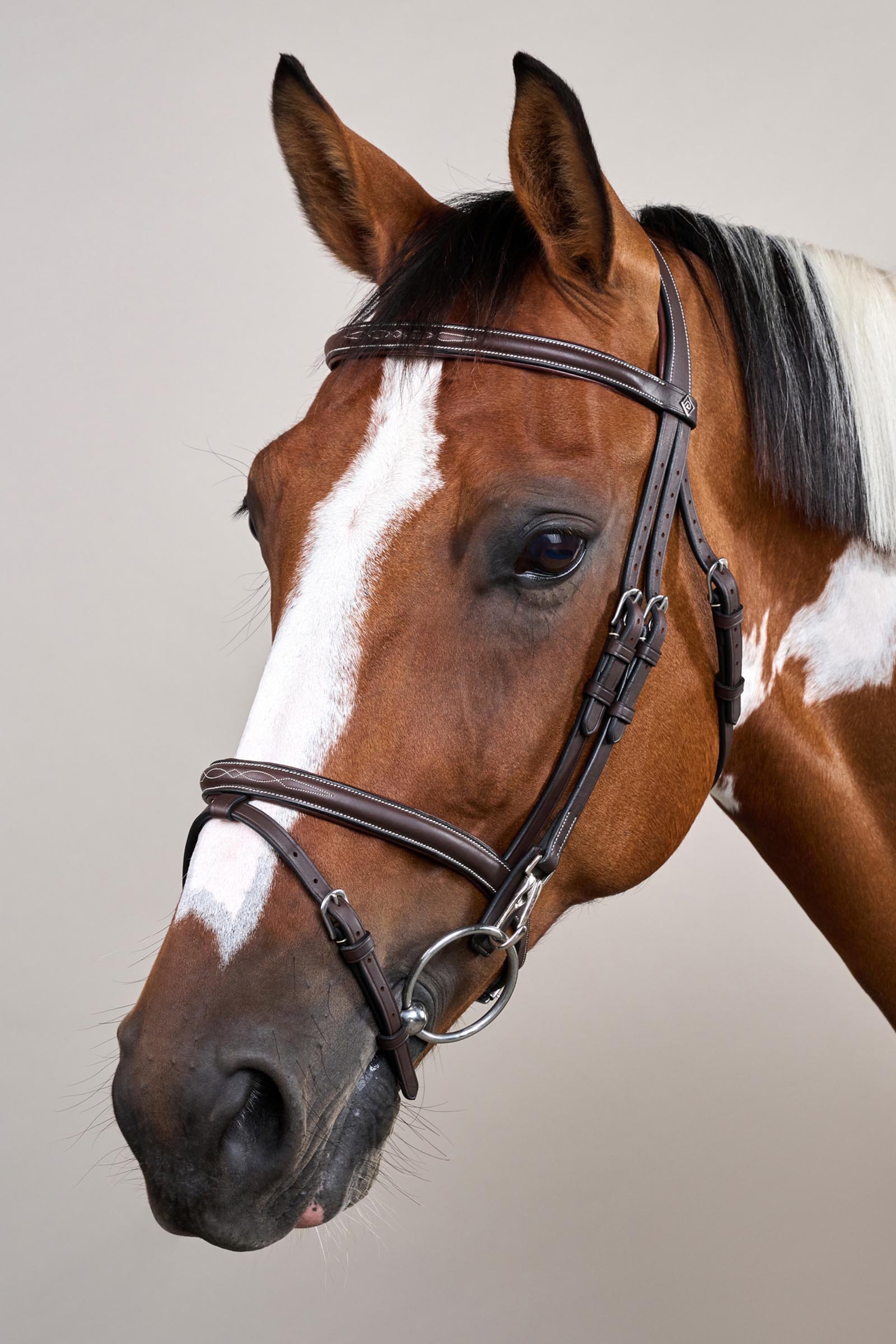 Dy'on Working briglia con capezzina combinata e moschettoni  