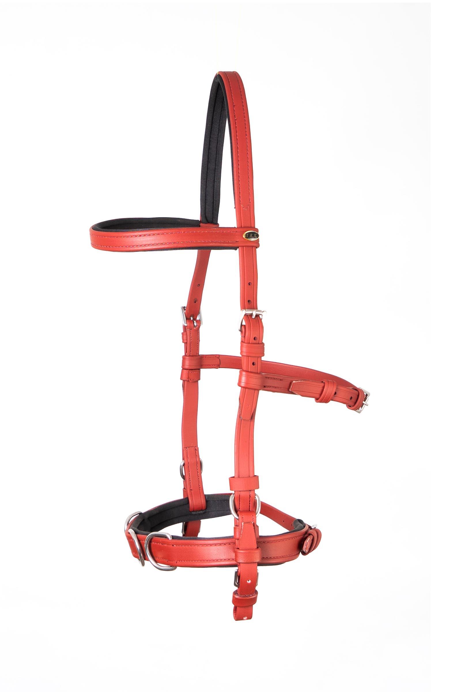 F.R.A. Freedom Riding Articles Capezza Koyla  