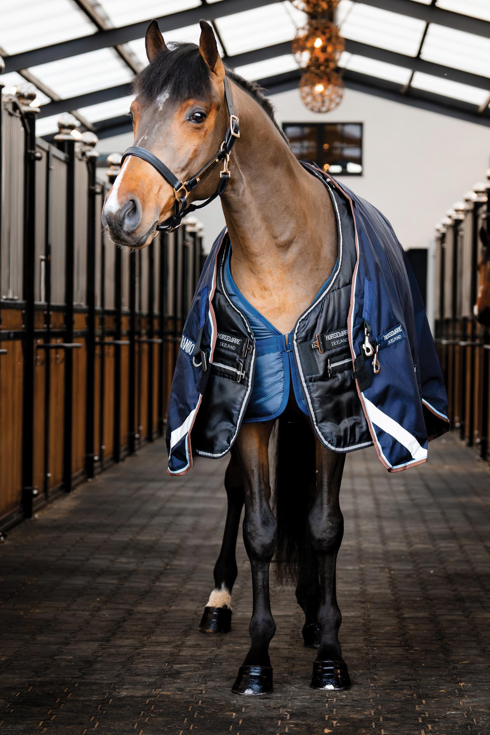 Horseware Easy-Layer coperta da stalla 100g