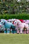 LeMieux Coperta per pony giocattolo