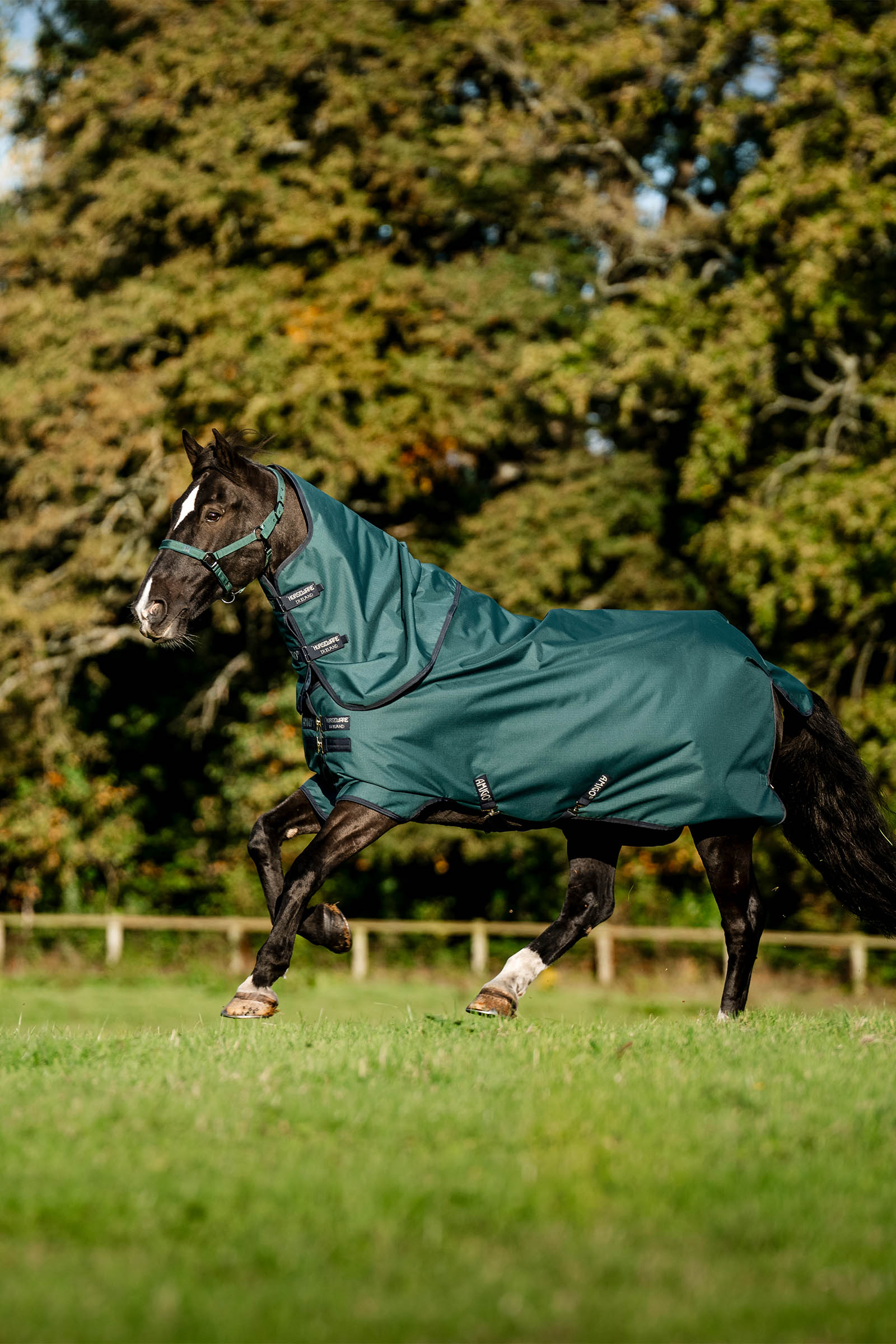 Horseware Amigo Ripstop 900D Plus Turnout Rug With Detachable Neck, 0 g