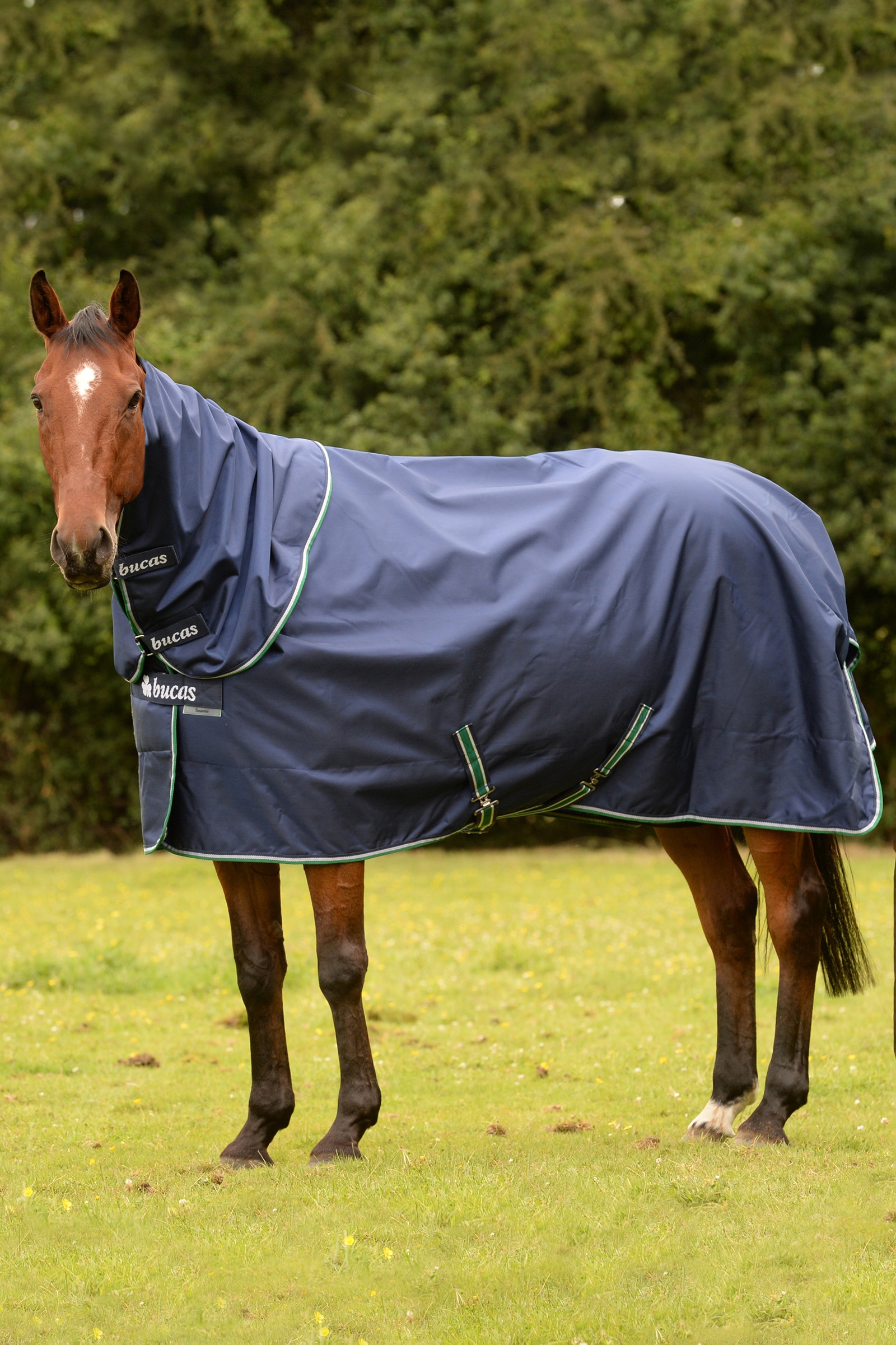 Bucas Smartex Coperta da turnout impermeabile con funzione di raffreddamento, 0g per pony