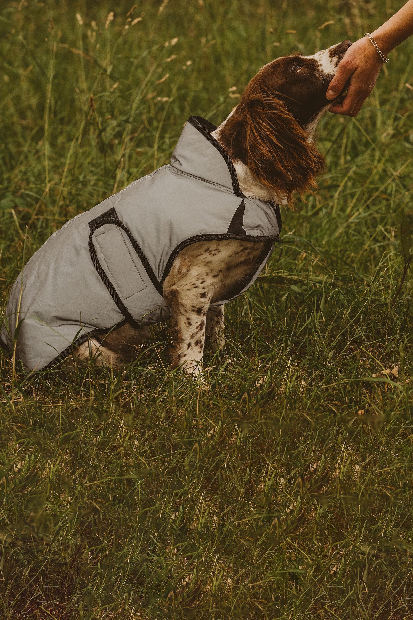 Weatherbeeta Comfitec Active Cappotto per cani con stampa riflettente