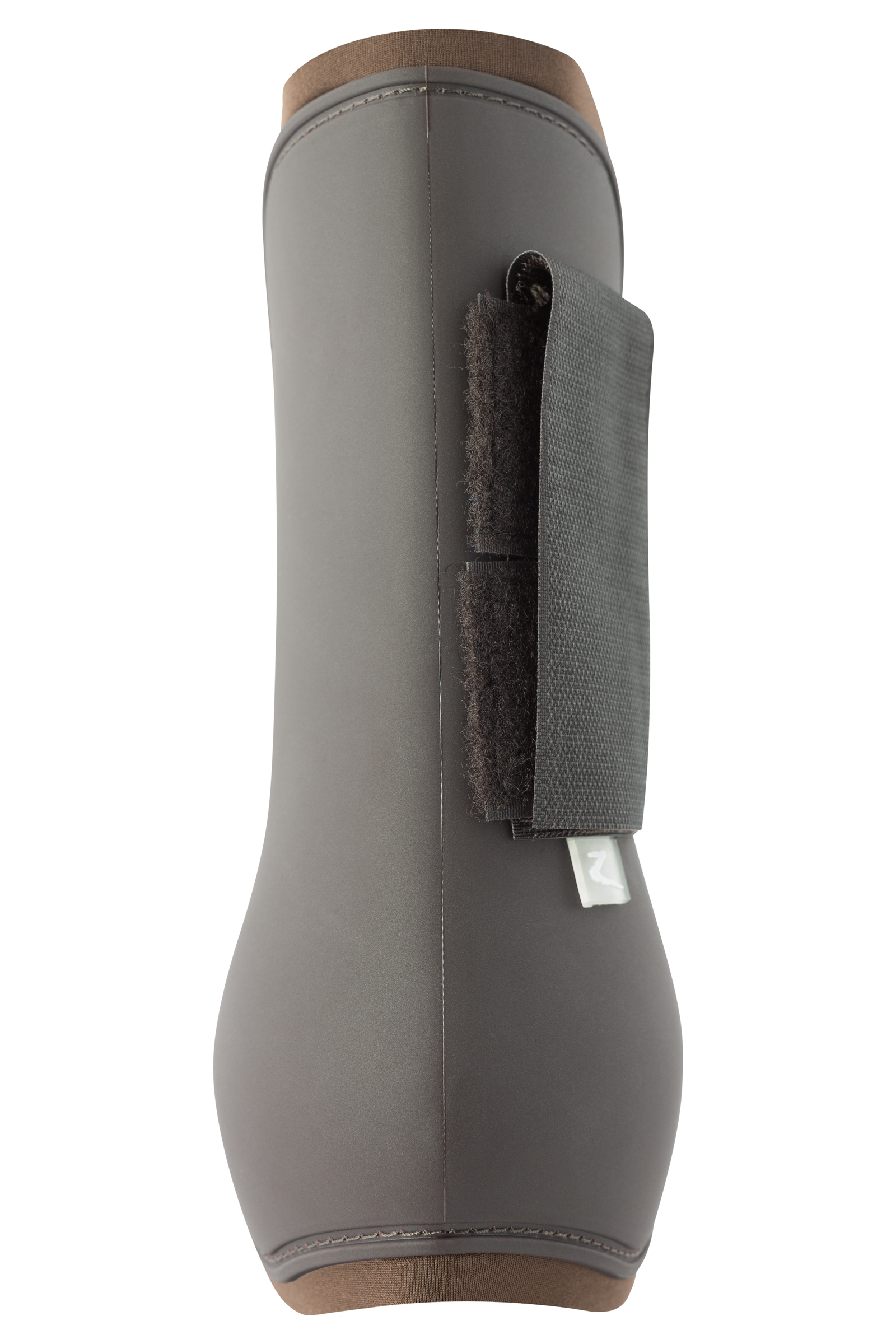 Horse paratendini Chicago