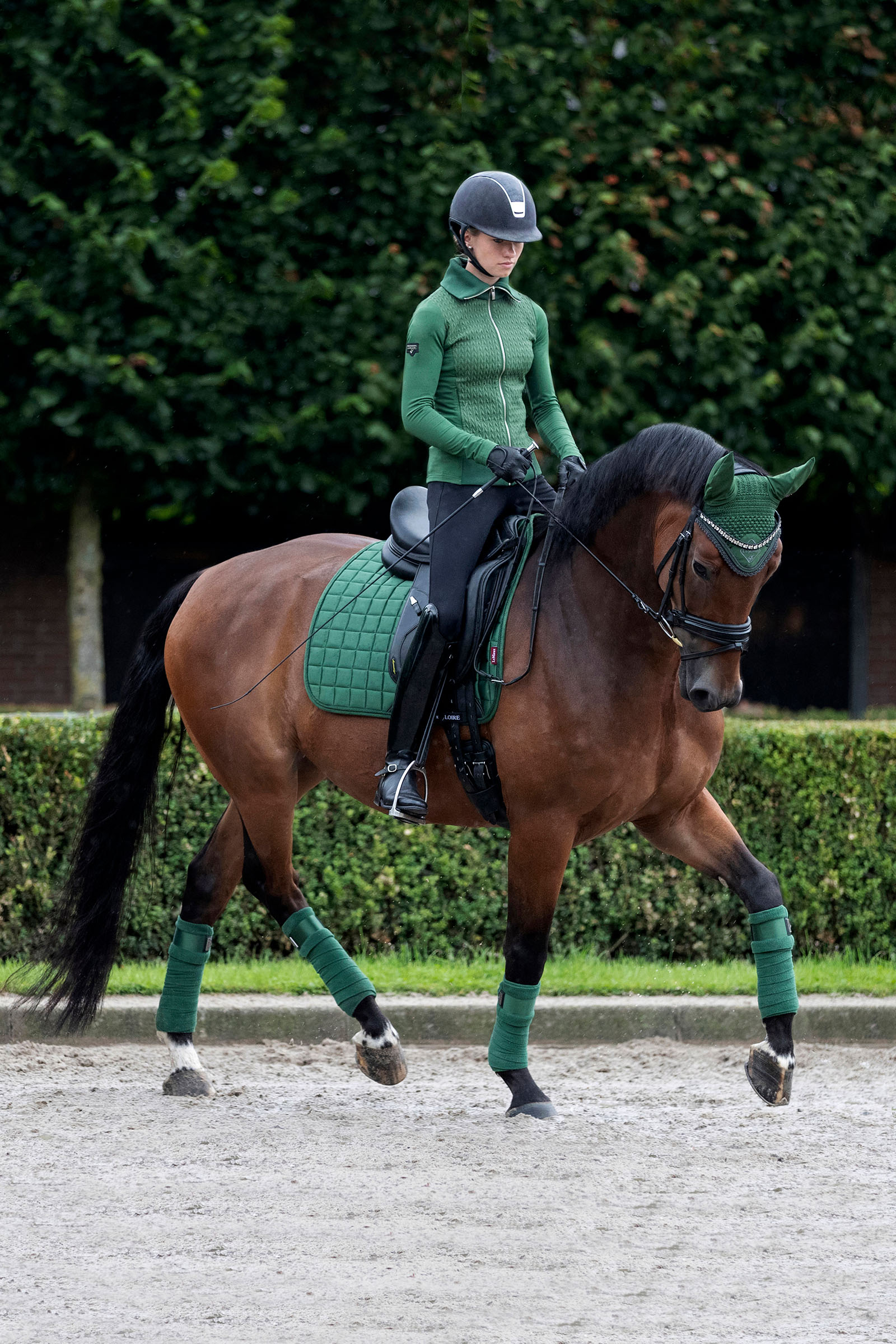 LeMieux Loire Classic sottosella dressage