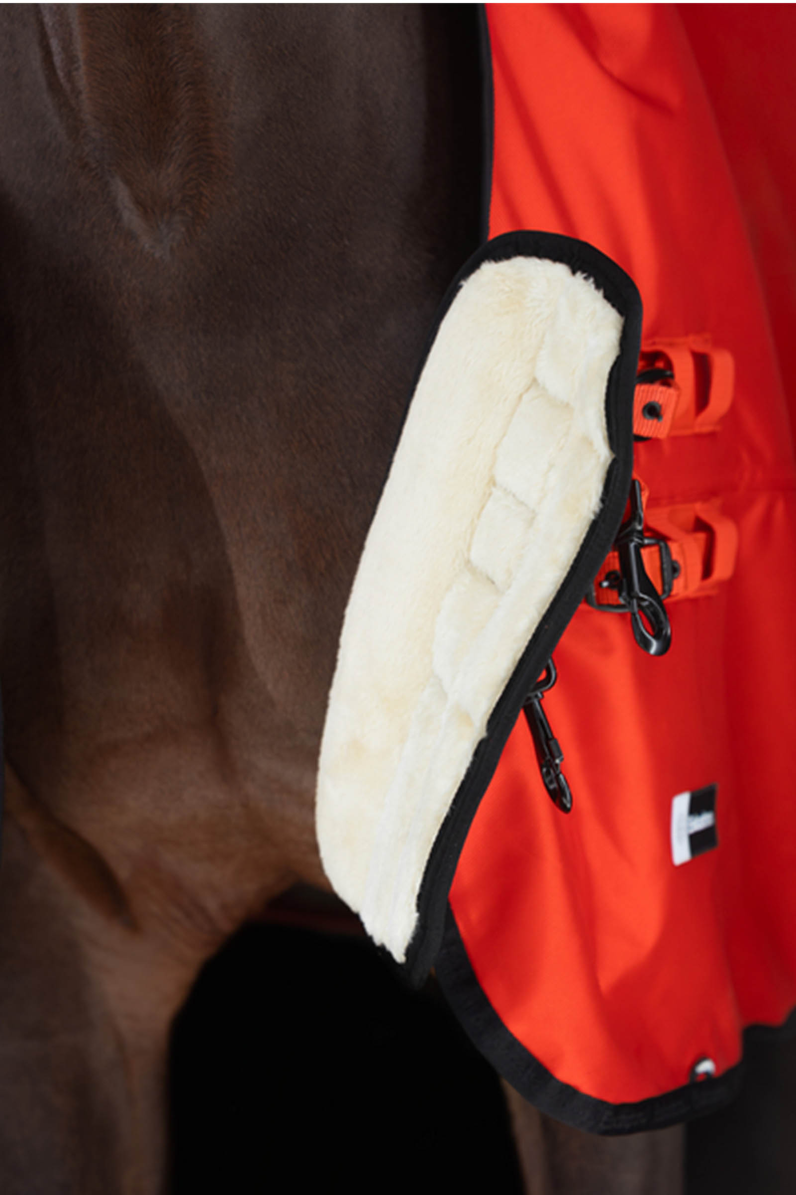 Eskadron Dynamics AW25 Beta coperta da paddock, 50 g