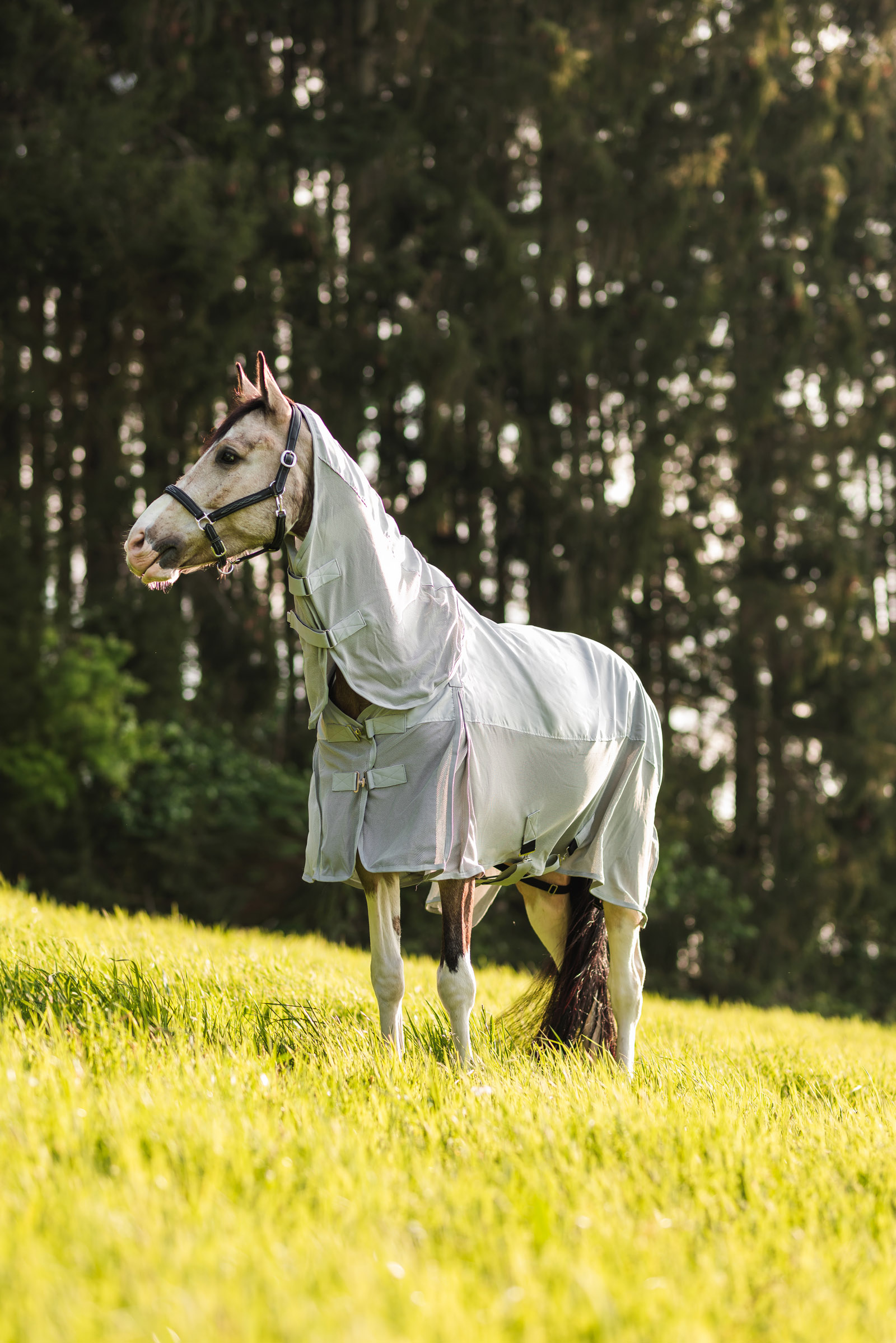 Horze Nevada telo combinato antipioggia/antimosche