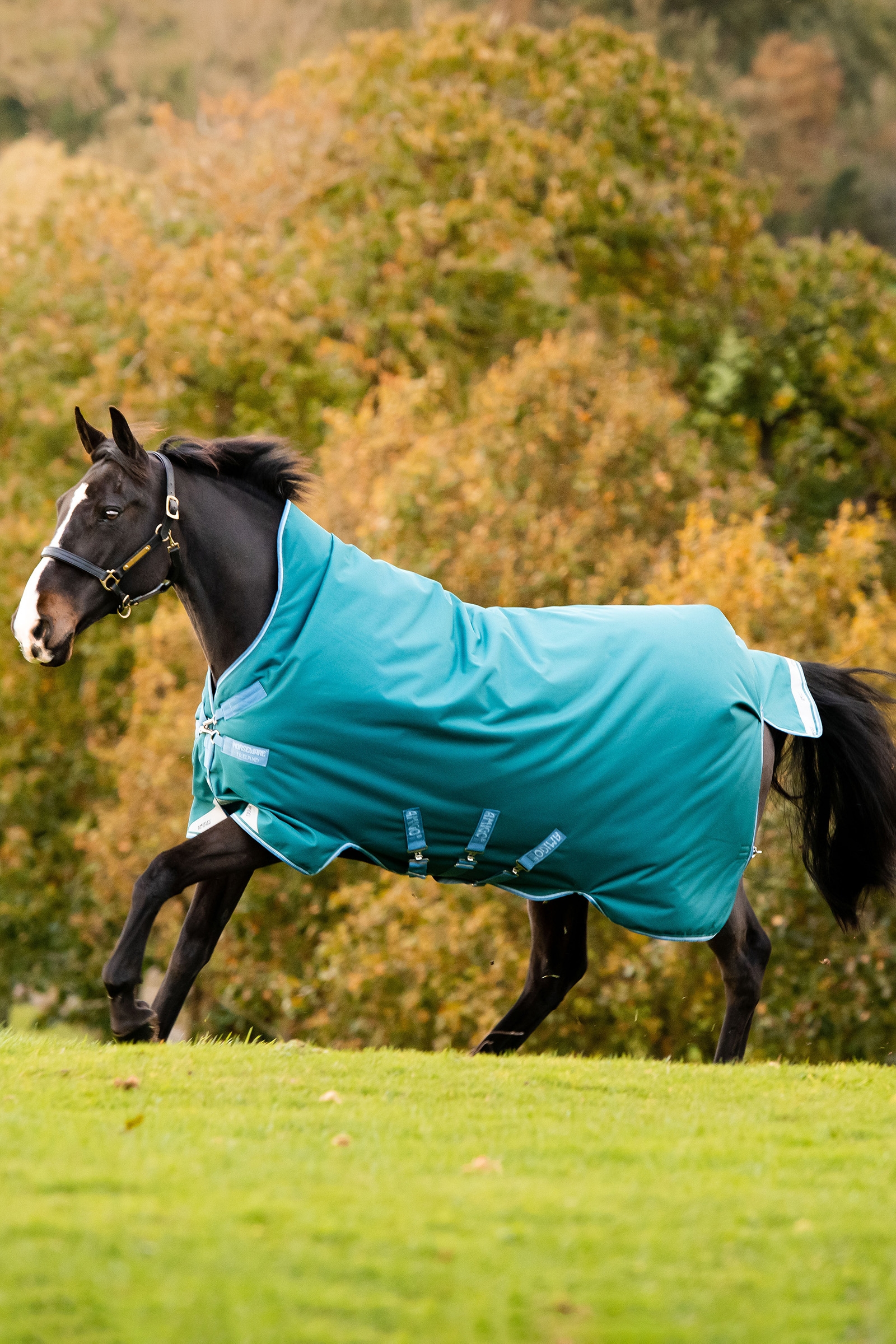 Horseware Amigo Bravo 12 Wug coperta da paddock con collo alto, 0 g