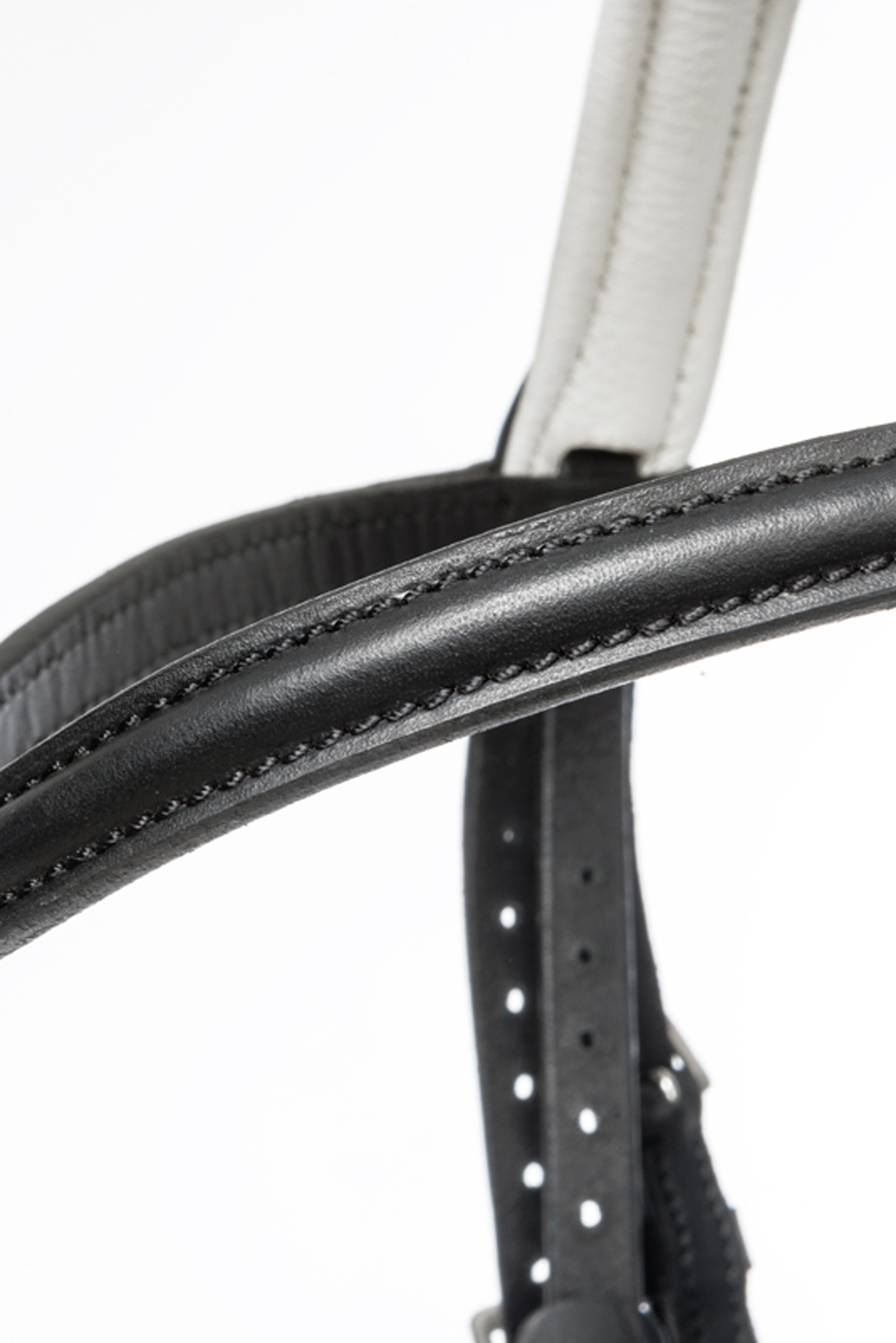 Briglia Kavalkade Quentin Ecoline, capezzina flash