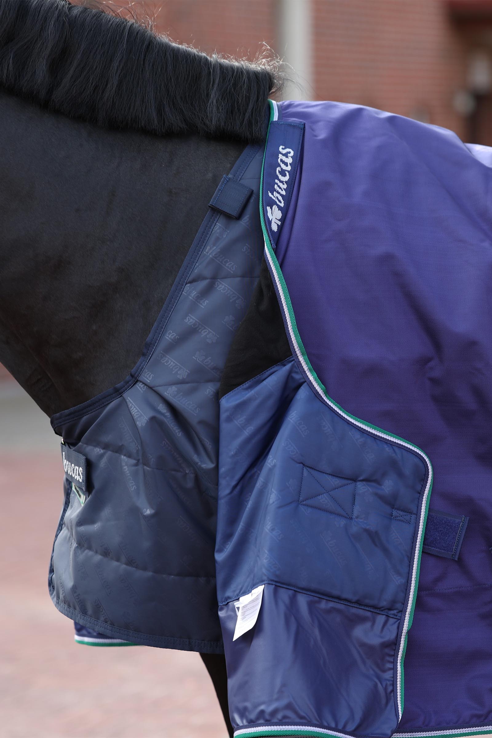 Bucas sottocoperta, 100 g